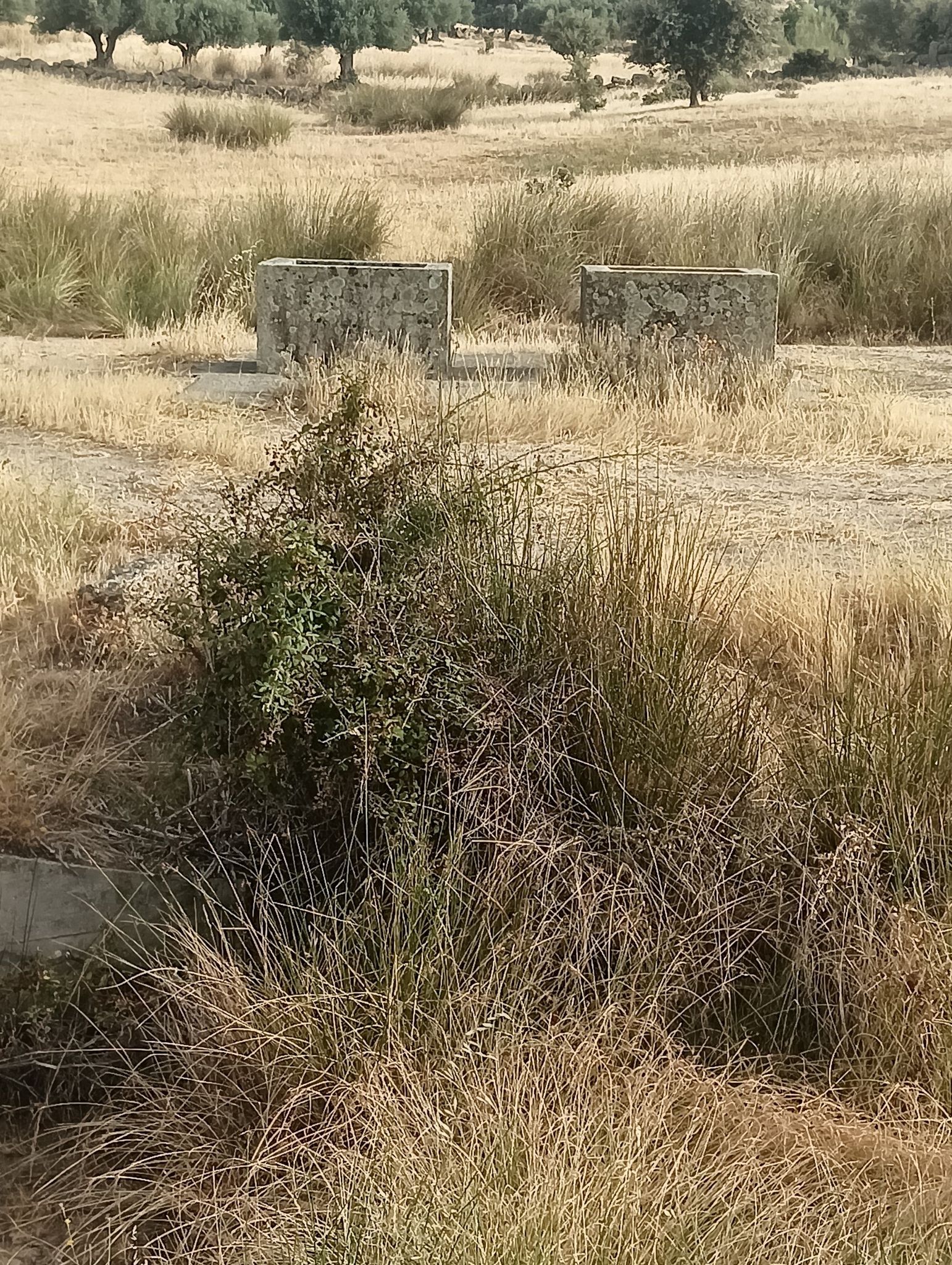 pozos de la republica
