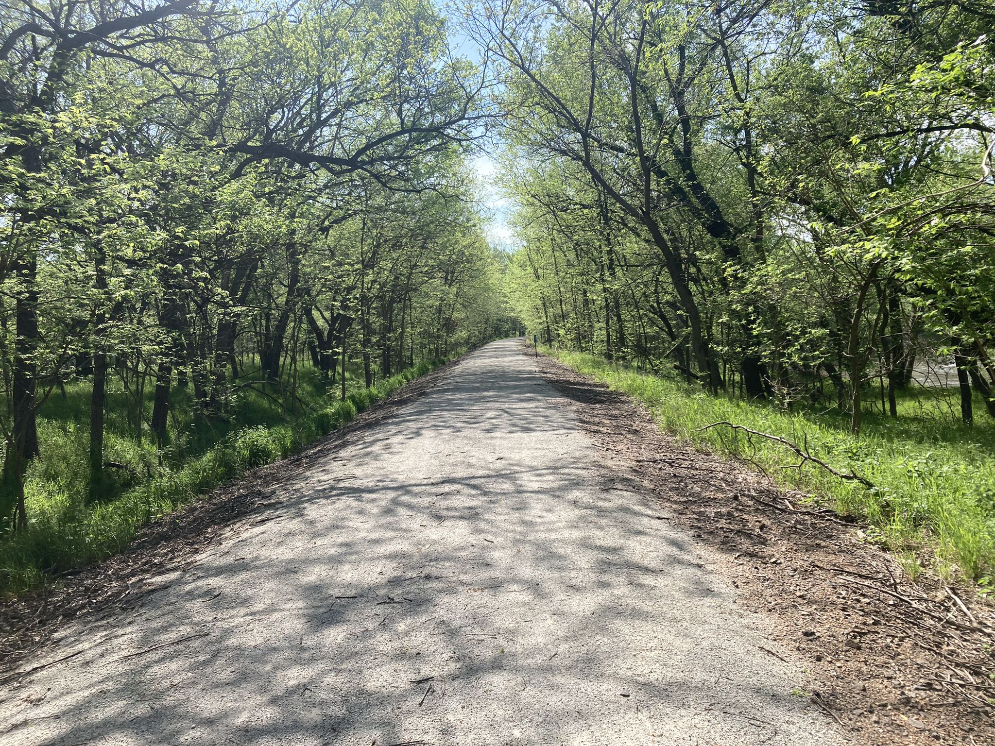 A straight dirt path surrounded by vibrant green trees in bright sunlight. - Chief Standing Bear Trail