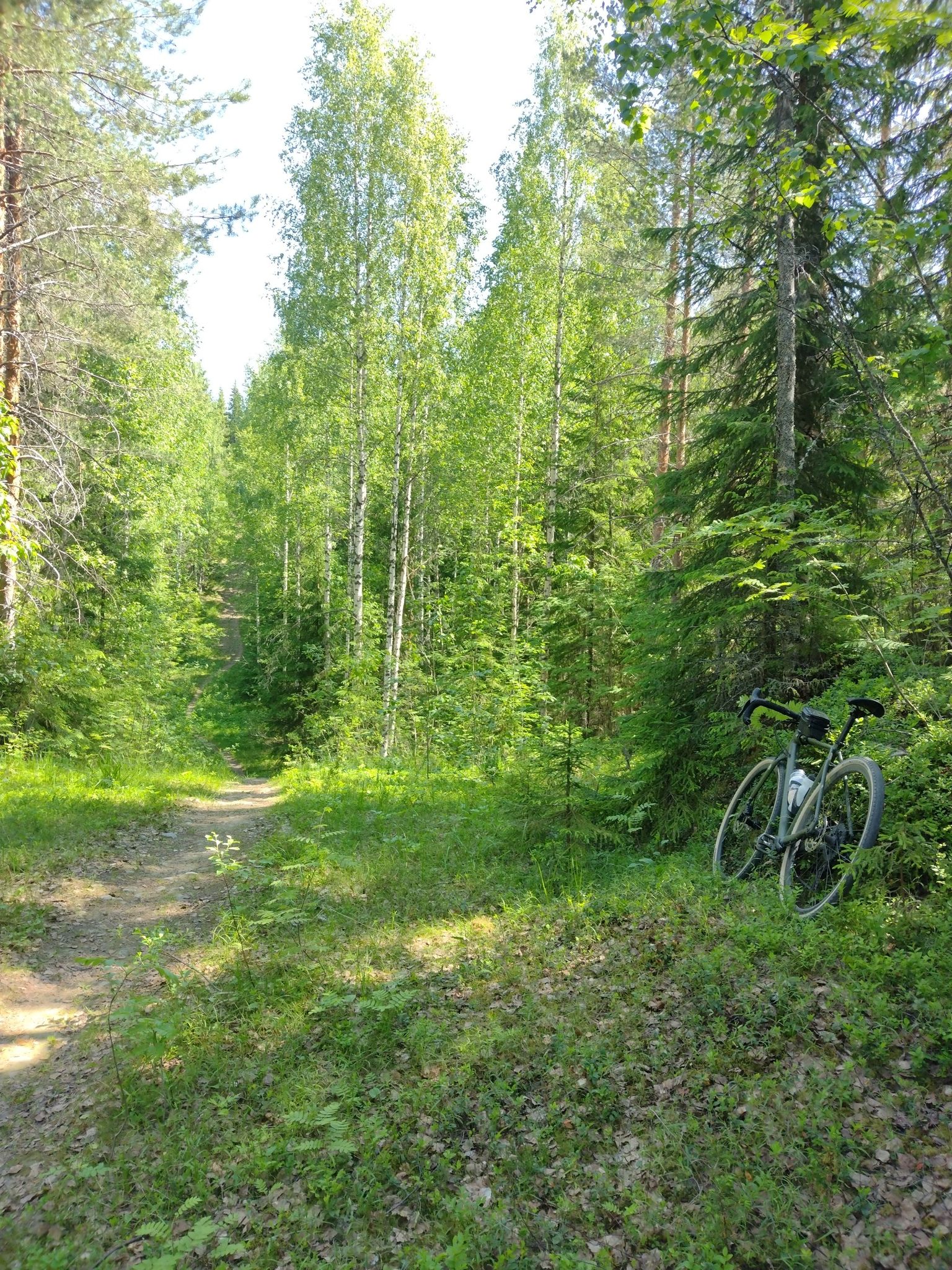 When gravel meets MTB on x-country skiing competition track...