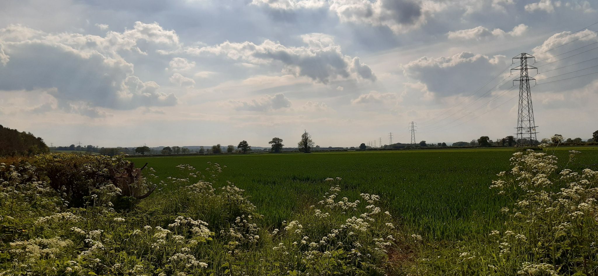 Fields beyond Ryton Stile Rd at Borough Mere Lane
