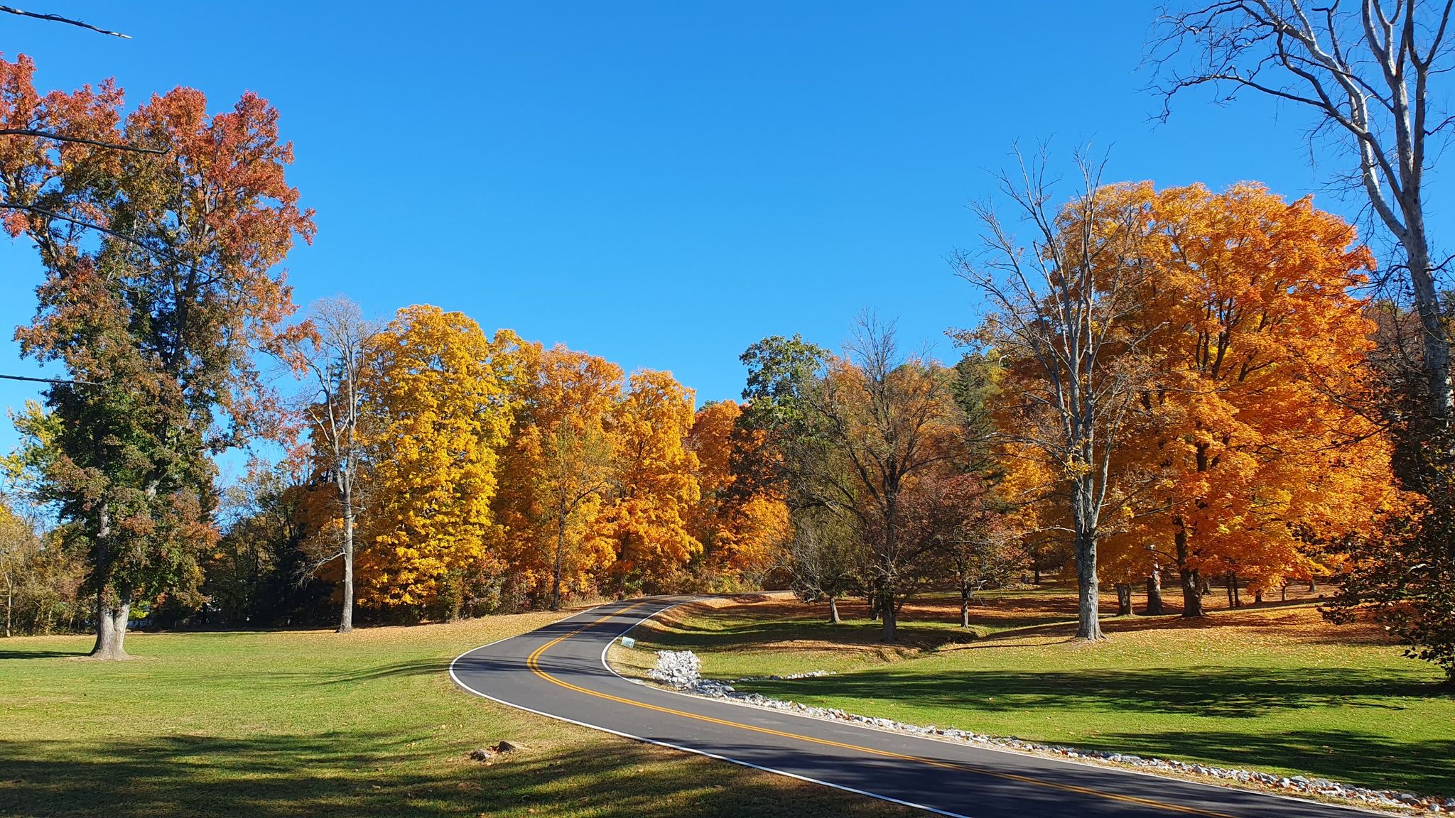 Paved road winding through a park with vibrant orange autumn trees and green grass. - Butler Turpin House and Overlook Fossil Trail Loop