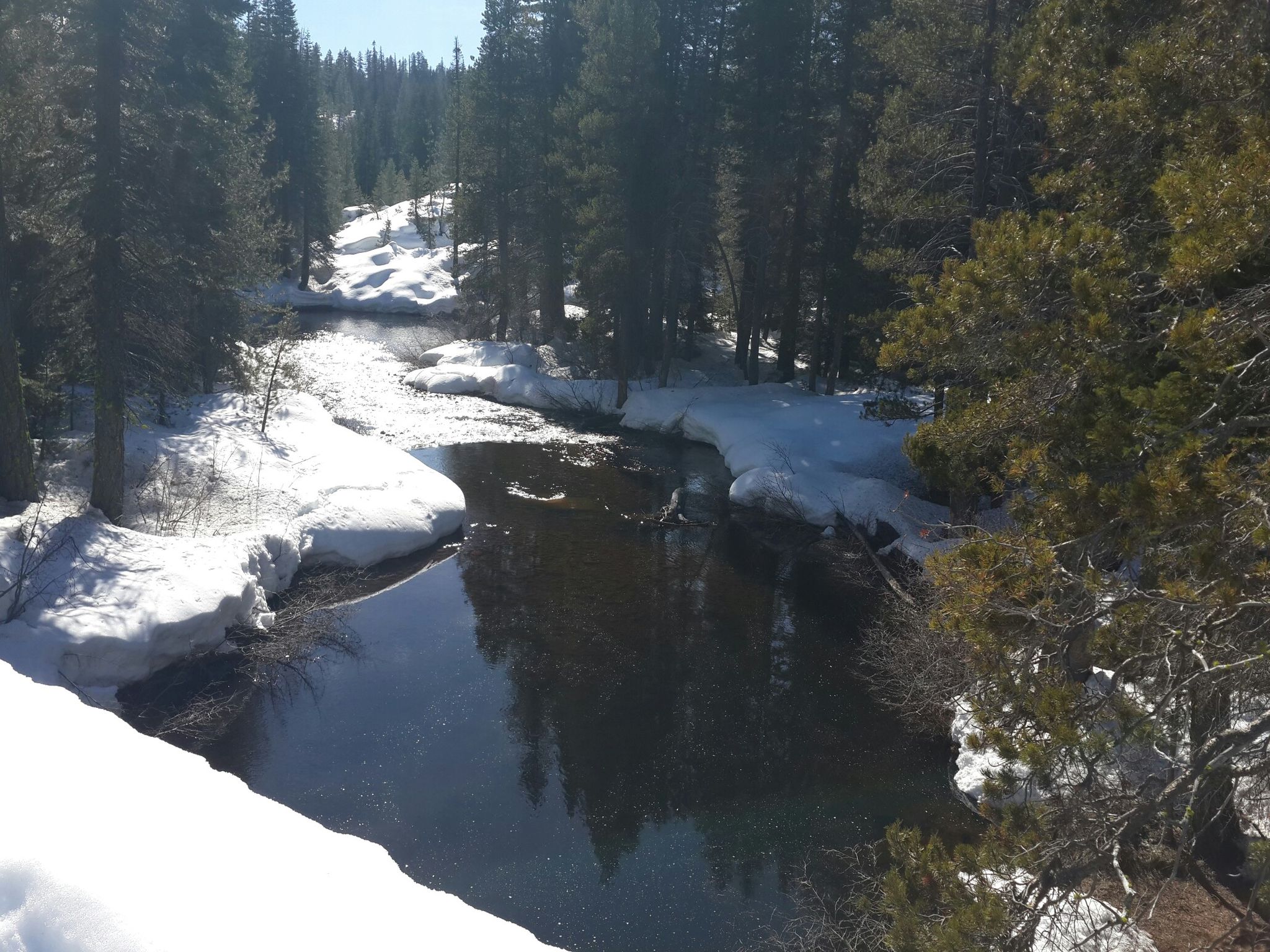 CA, Bear Valley, Spicer Meadow Rd XC skiing