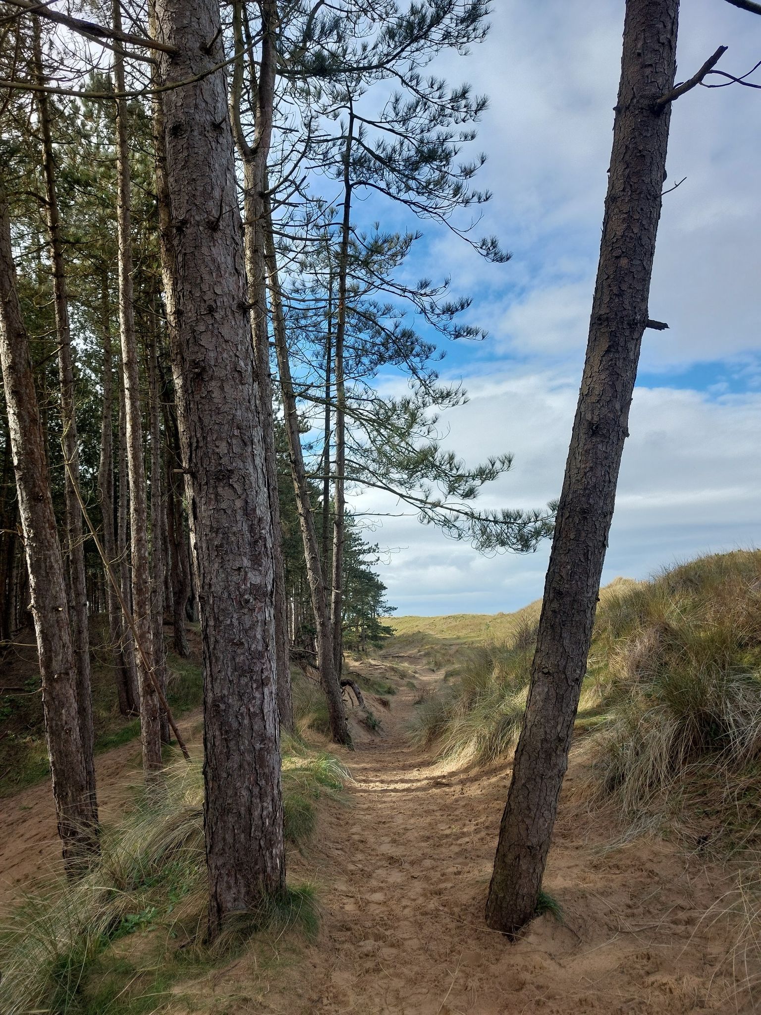 West End Walk