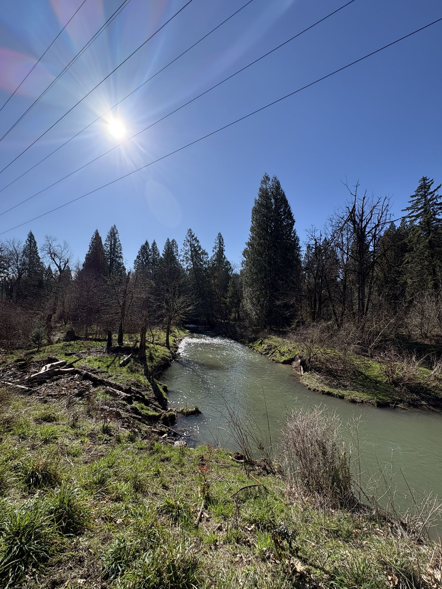 Sunny river flowing through a green forest with power lines overhead. - Springwater Corridor Trail