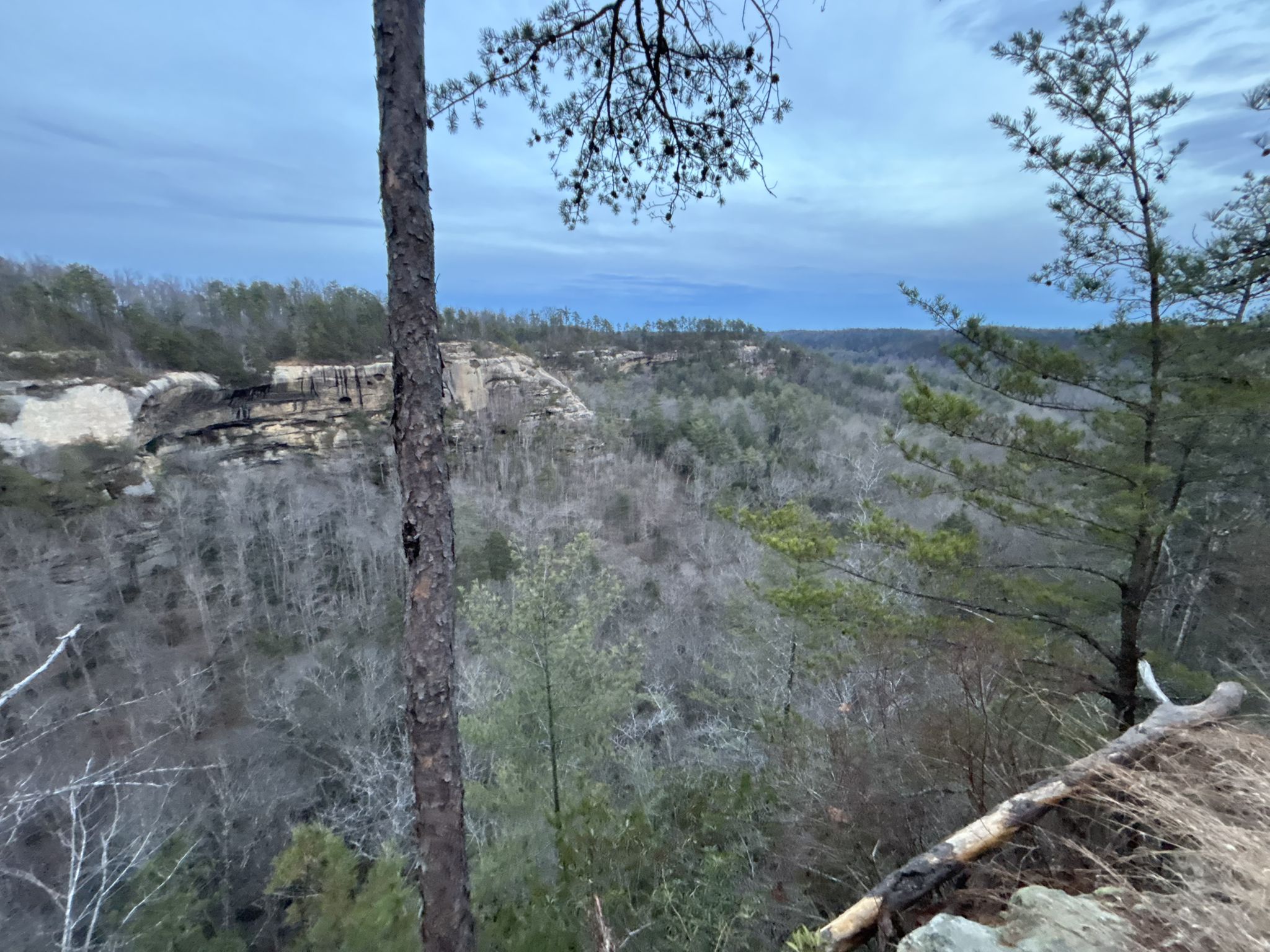 Overcast view of a forested valley with distant rock cliffs and foreground trees. - Indian Staircase and Cloud Splitter Loop
