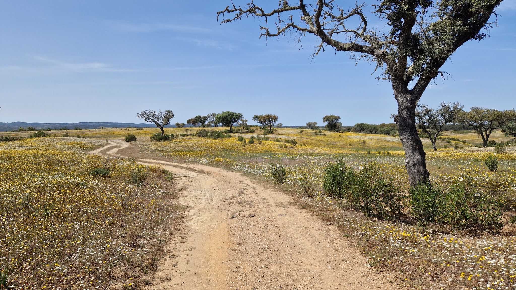 Alentejo