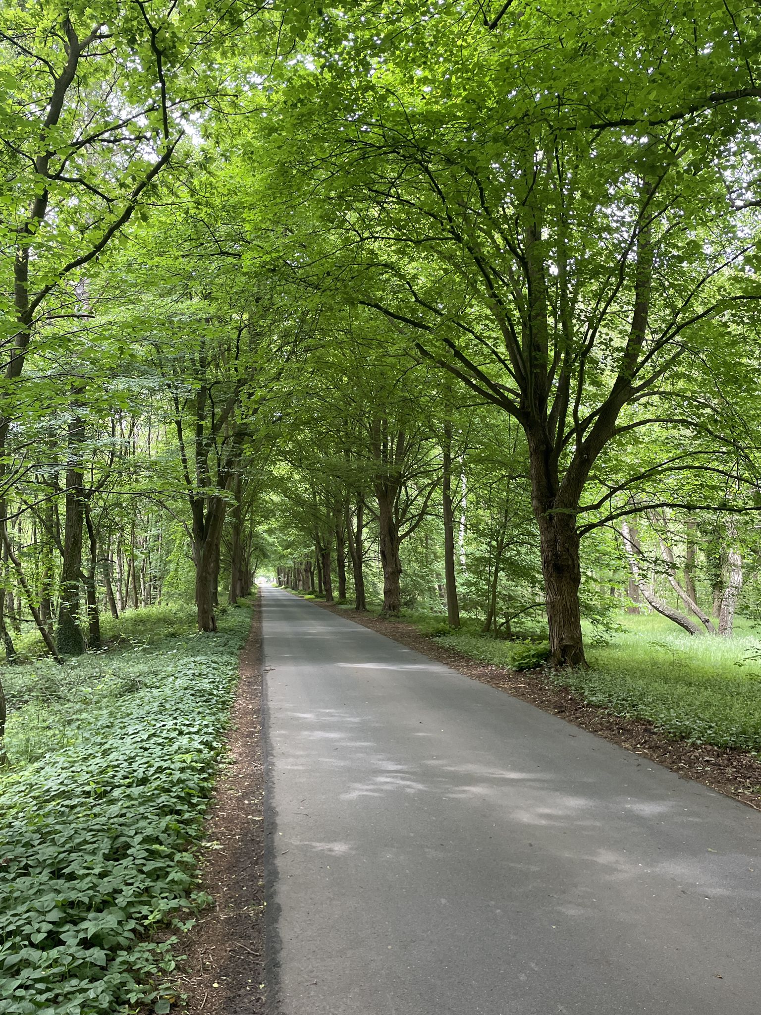 Apeler Straße