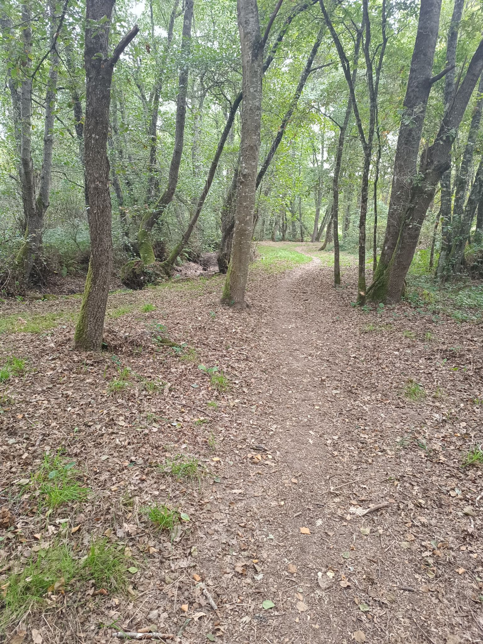 ruta rio loña