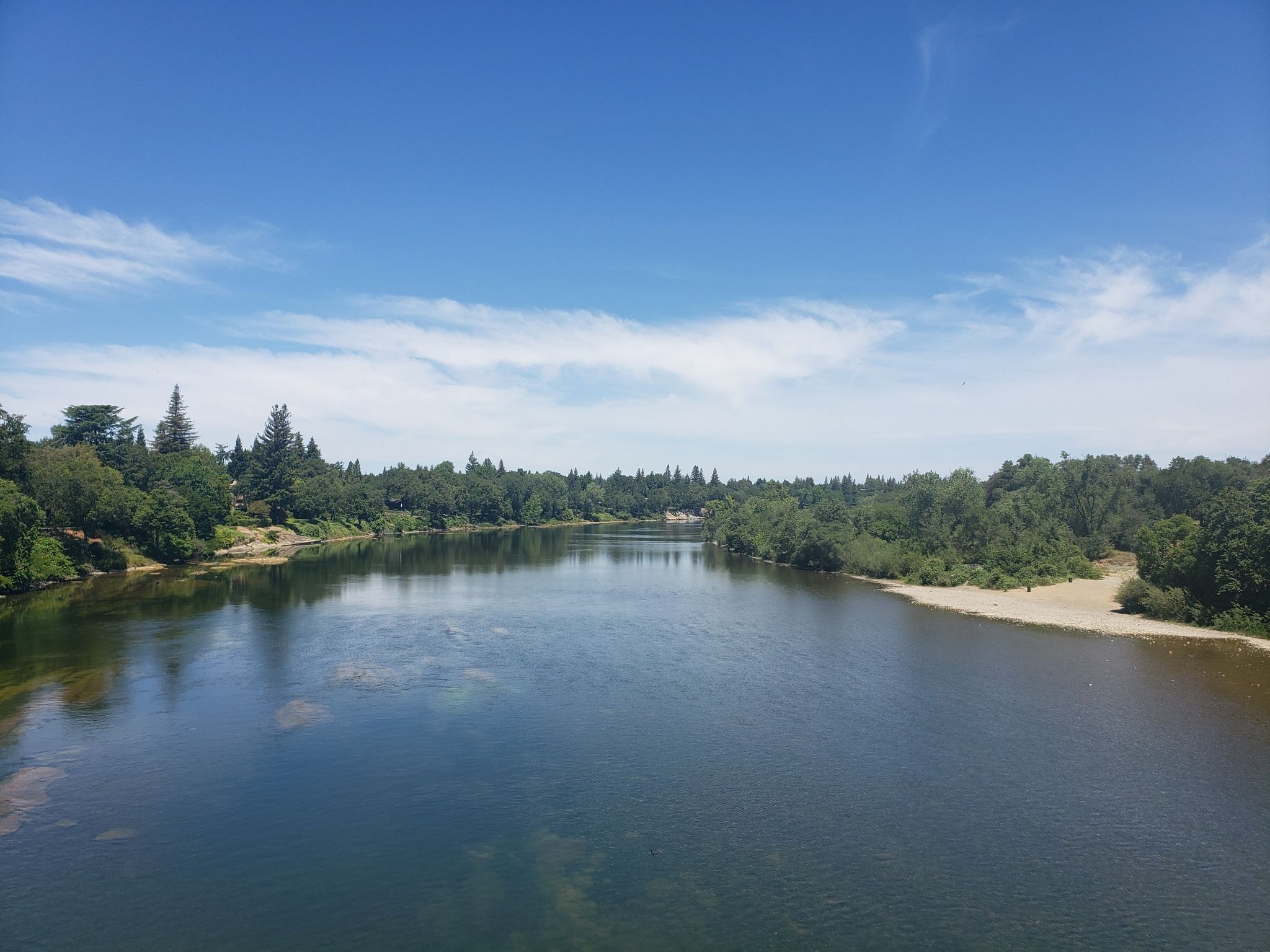Wide river with forested banks and a sandy beach under clear sky. - American River Bike Trail – Guy West Bridge loop from Rancho Cordova