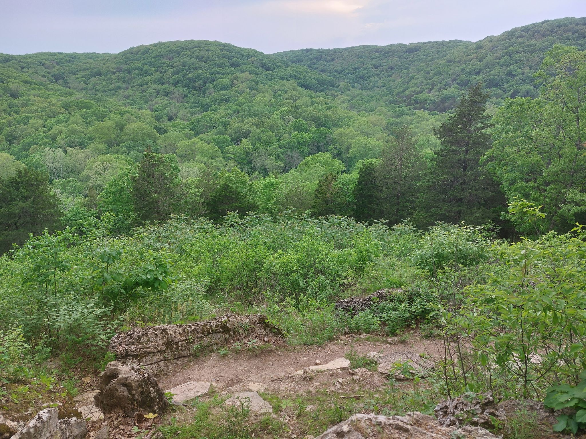Overlook view of dense green forested hills under an overcast sky. - Beulah Trail