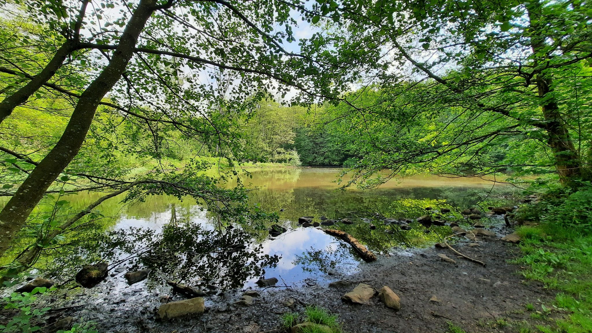 Weiheranlage im Wildpark
