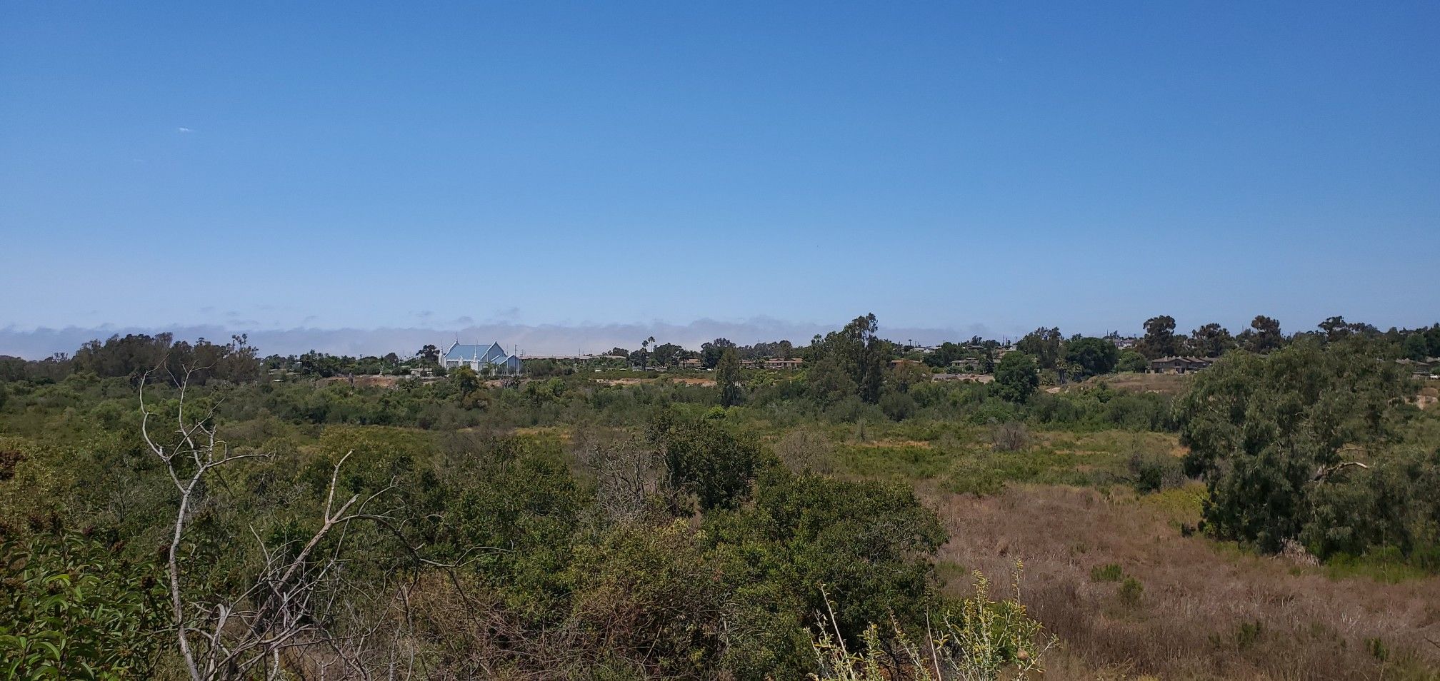 Expansive view of green and brown brush under a clear blue sky. - "Otay Valley Regional Park Trail"
