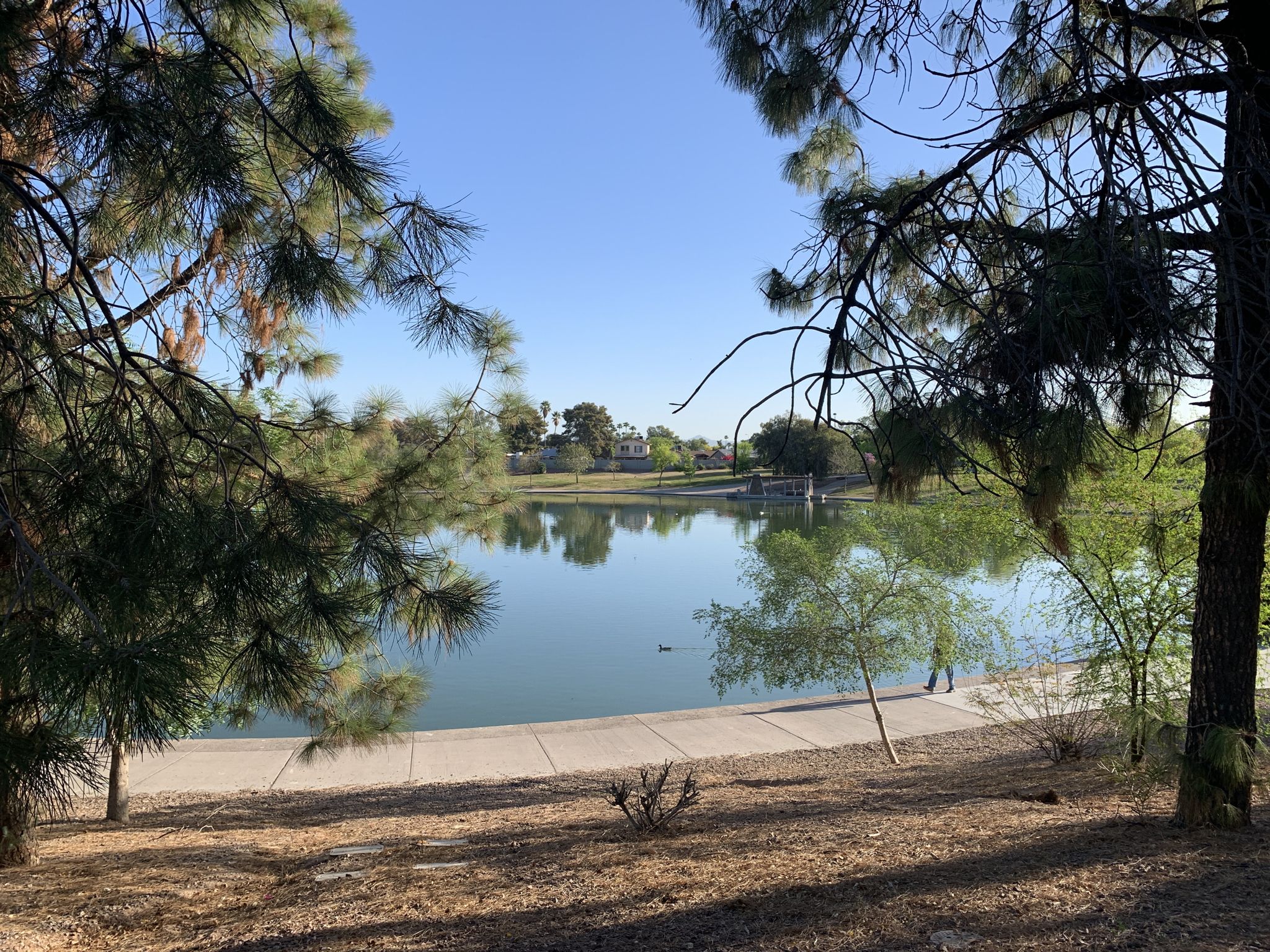 Kiwanis park tempe az