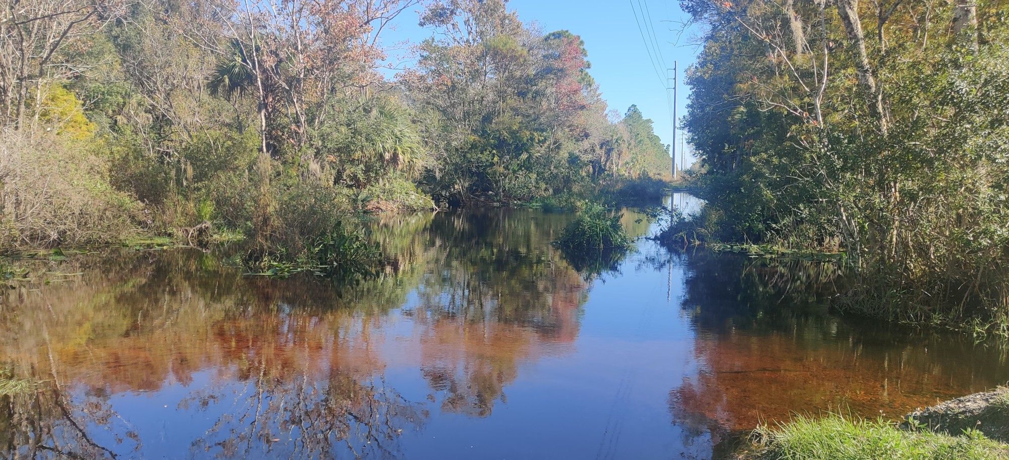 Calm water reflecting trees and blue sky, flanked by dense vegetation. - East Central Regional Rail Trail Loop