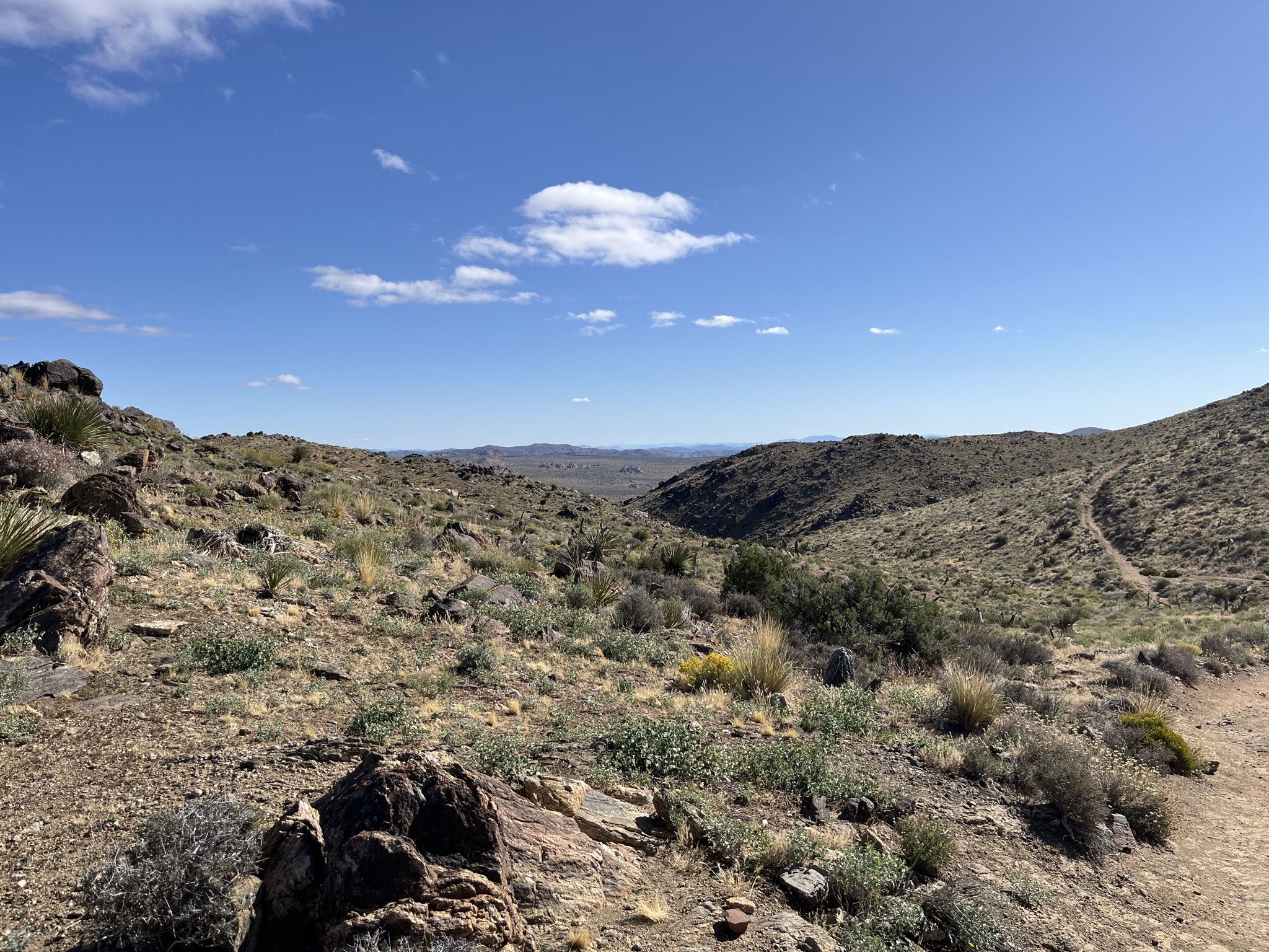 Desert hills with sparse vegetation under a clear blue sky and white clouds. - Lost Horse Mine Trail