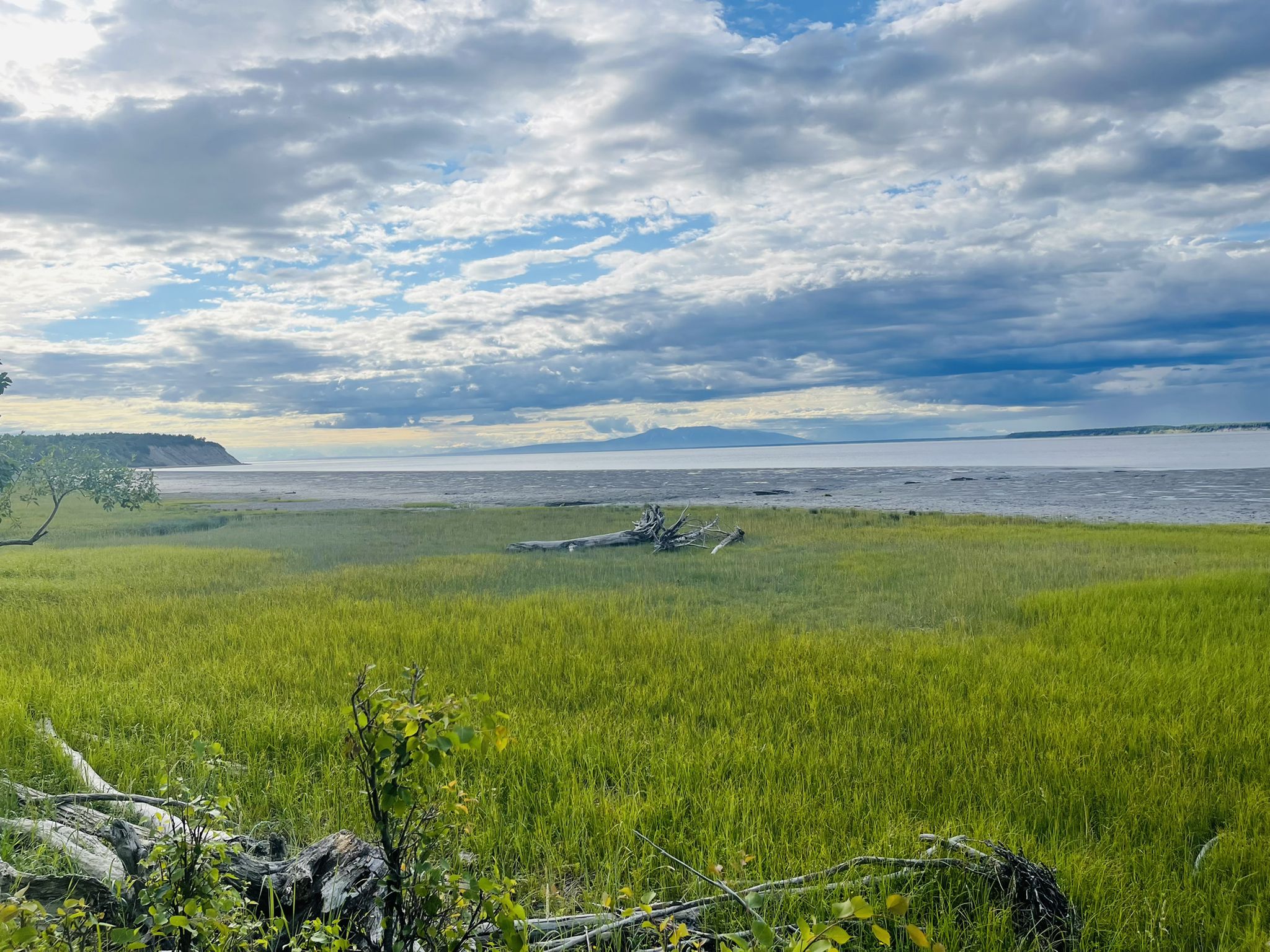 Wide green field with driftwood leading to water under cloudy skies. - Lake Spenard – Tony Knowles Coastal Trail loop from Lake Hood Seaplane Base