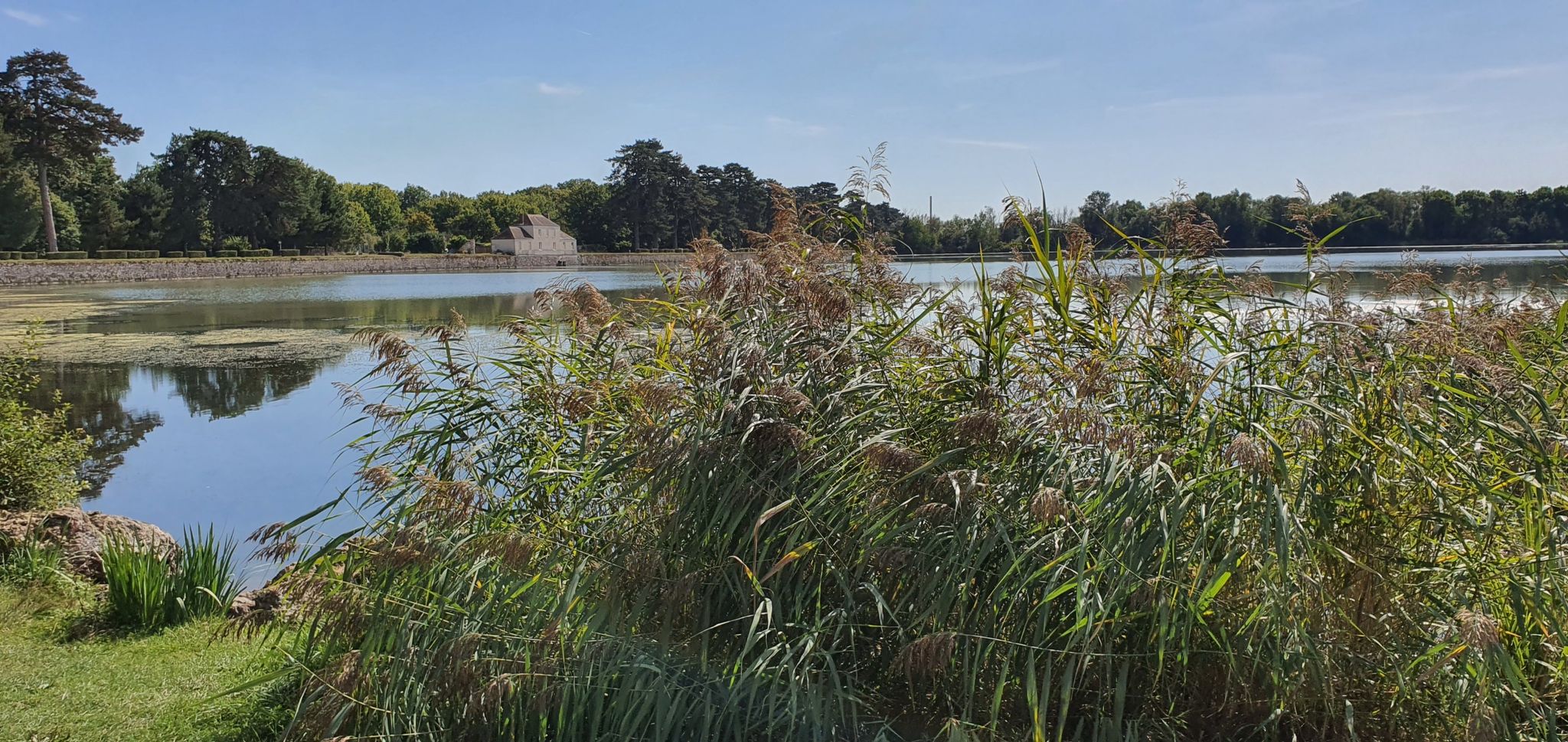 Etang