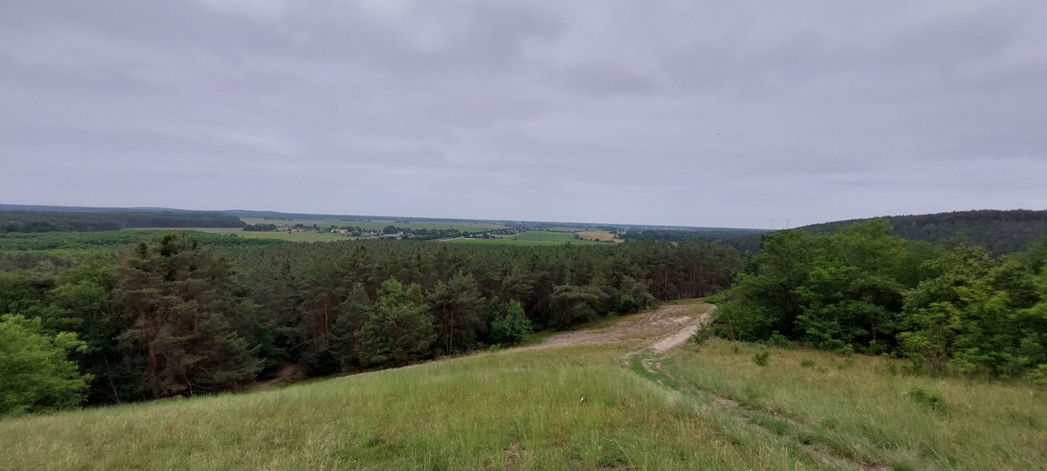 Milower ( Berg )