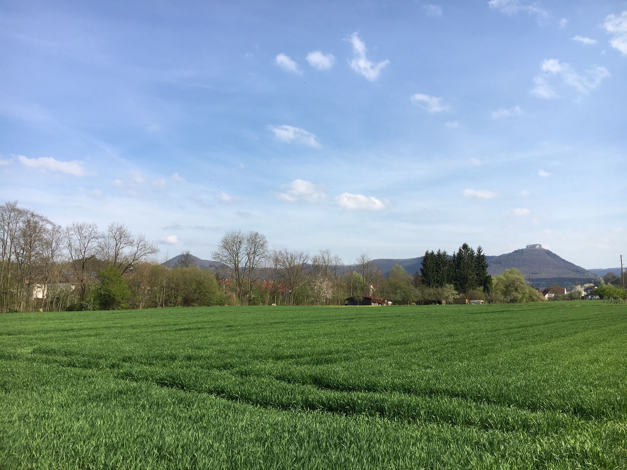 Blick auf den Hundeplatz
