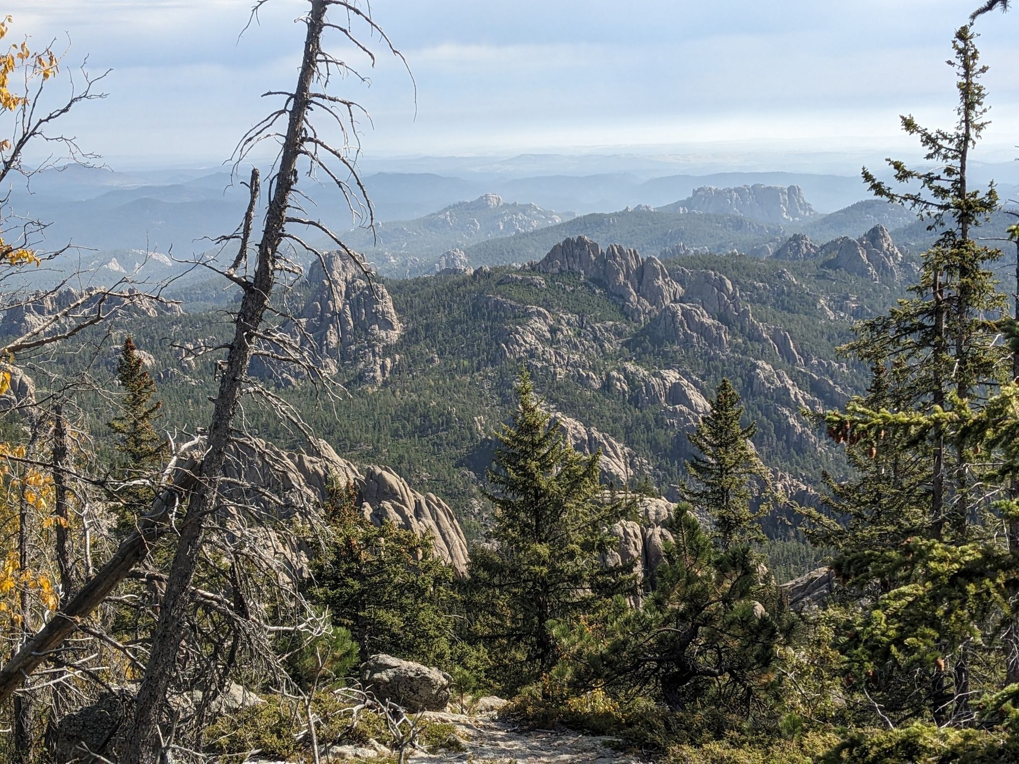 Panoramic view of rocky peaks, forested hills, and distant hazy mountains. - Norbeck Trail #3