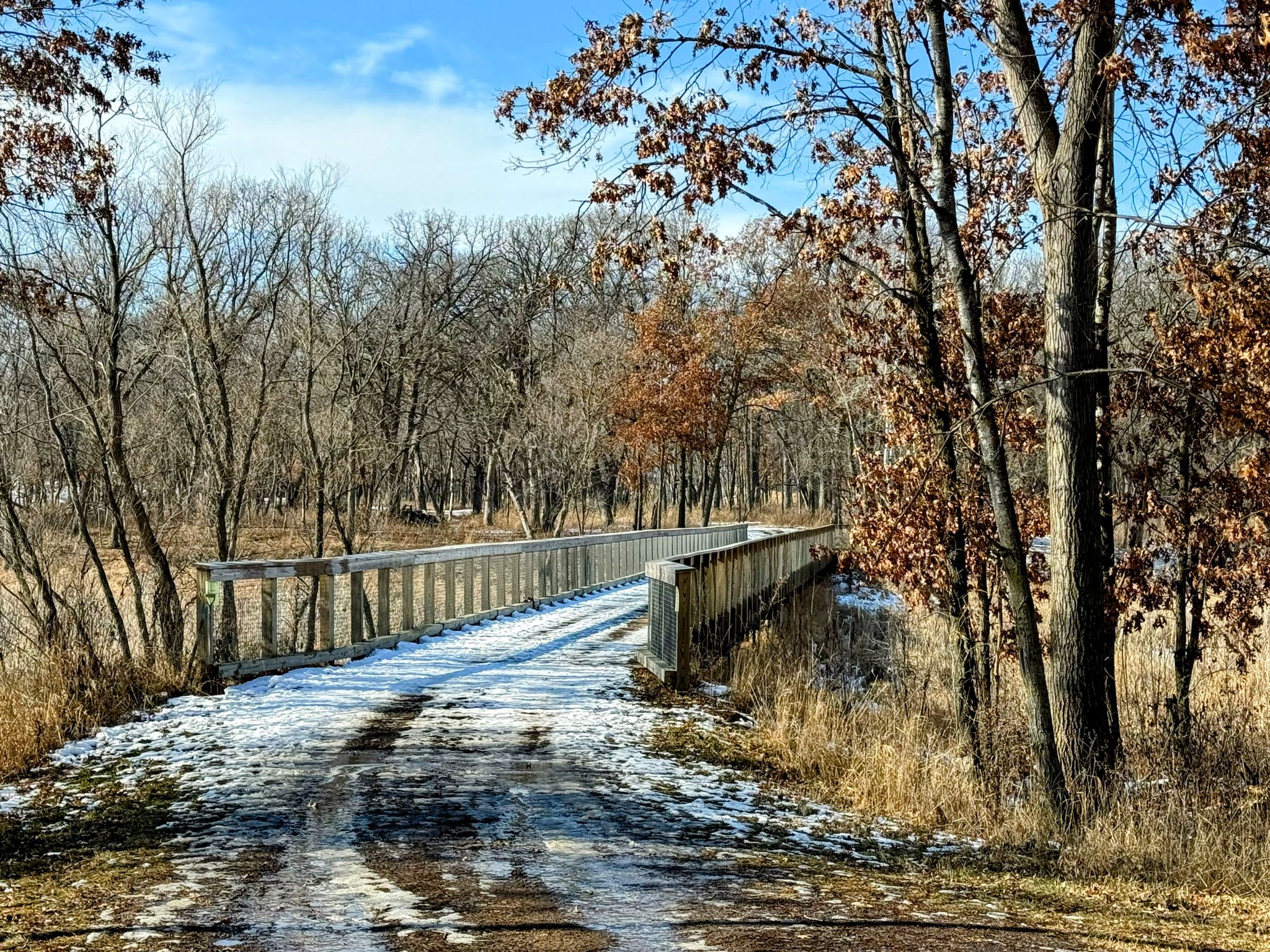 Snowy path leading to a wooden bridge through bare trees under a blue sky. - Eagle Point Lake – Lake Elmo Park Bike Path loop from Lake Elmo Park Reserve
