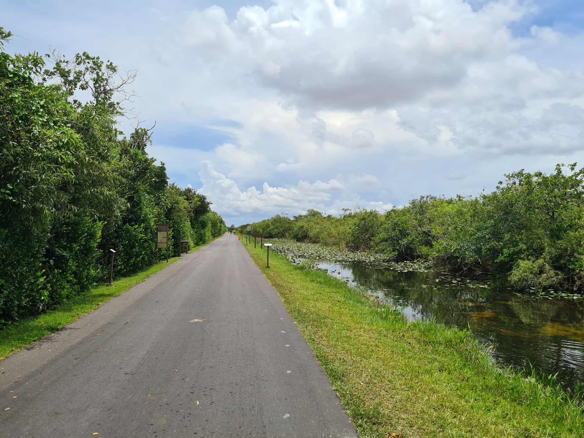 Paved road through lush green trees and a canal under cloudy sky. - Shark Valley Loop Road