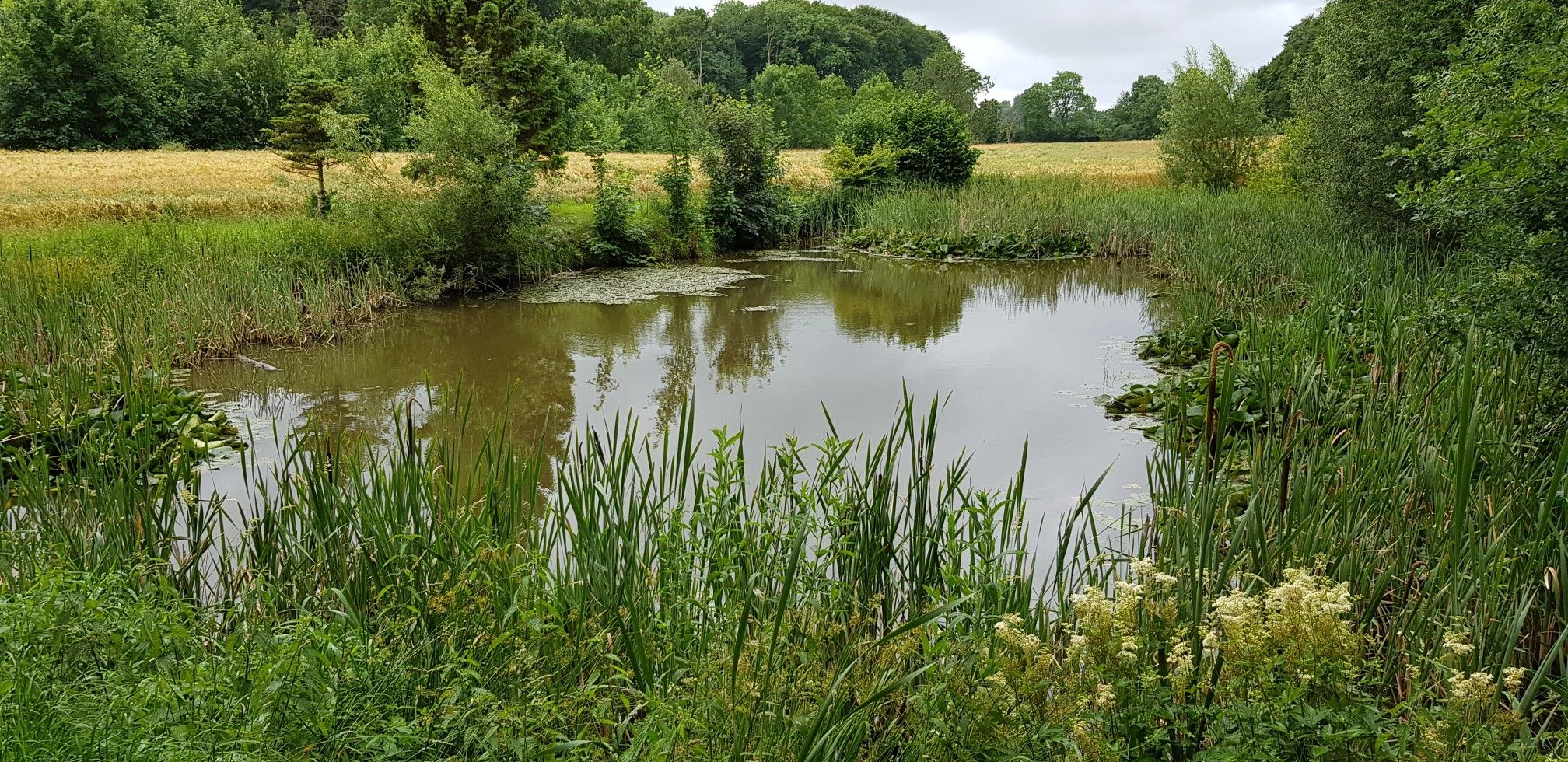 Angelteich
