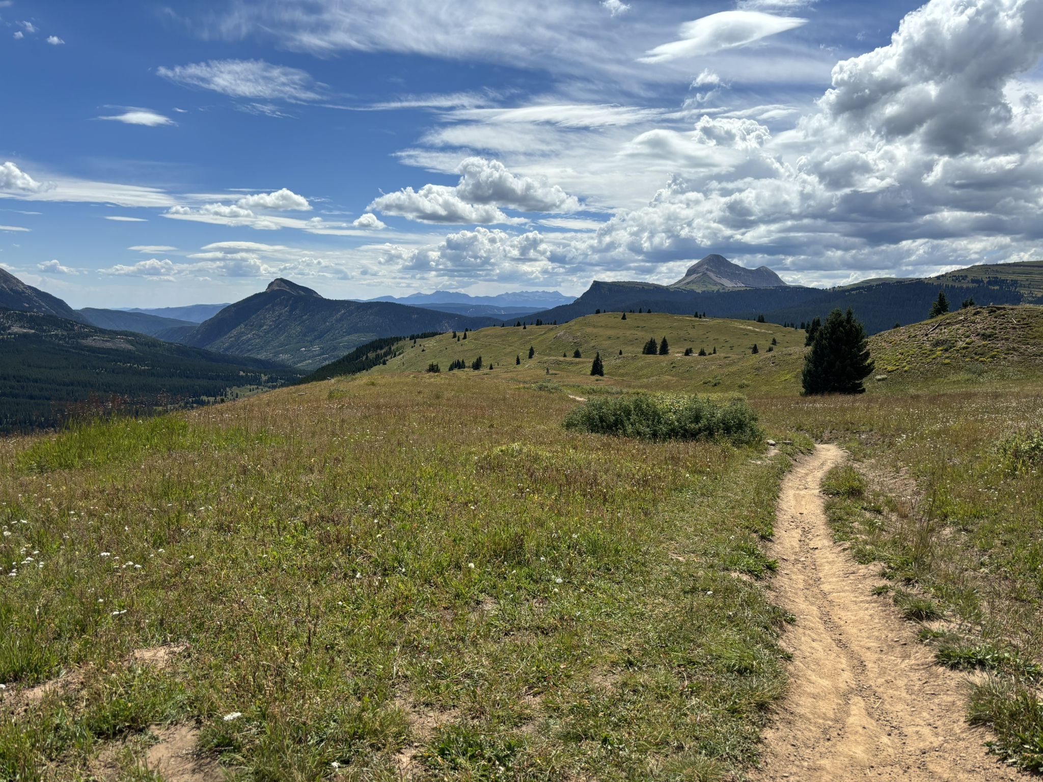 Dirt path winding through a sunny, grassy mountain landscape under cloudy skies. - Colorado Trail - Twin Sisters Trail