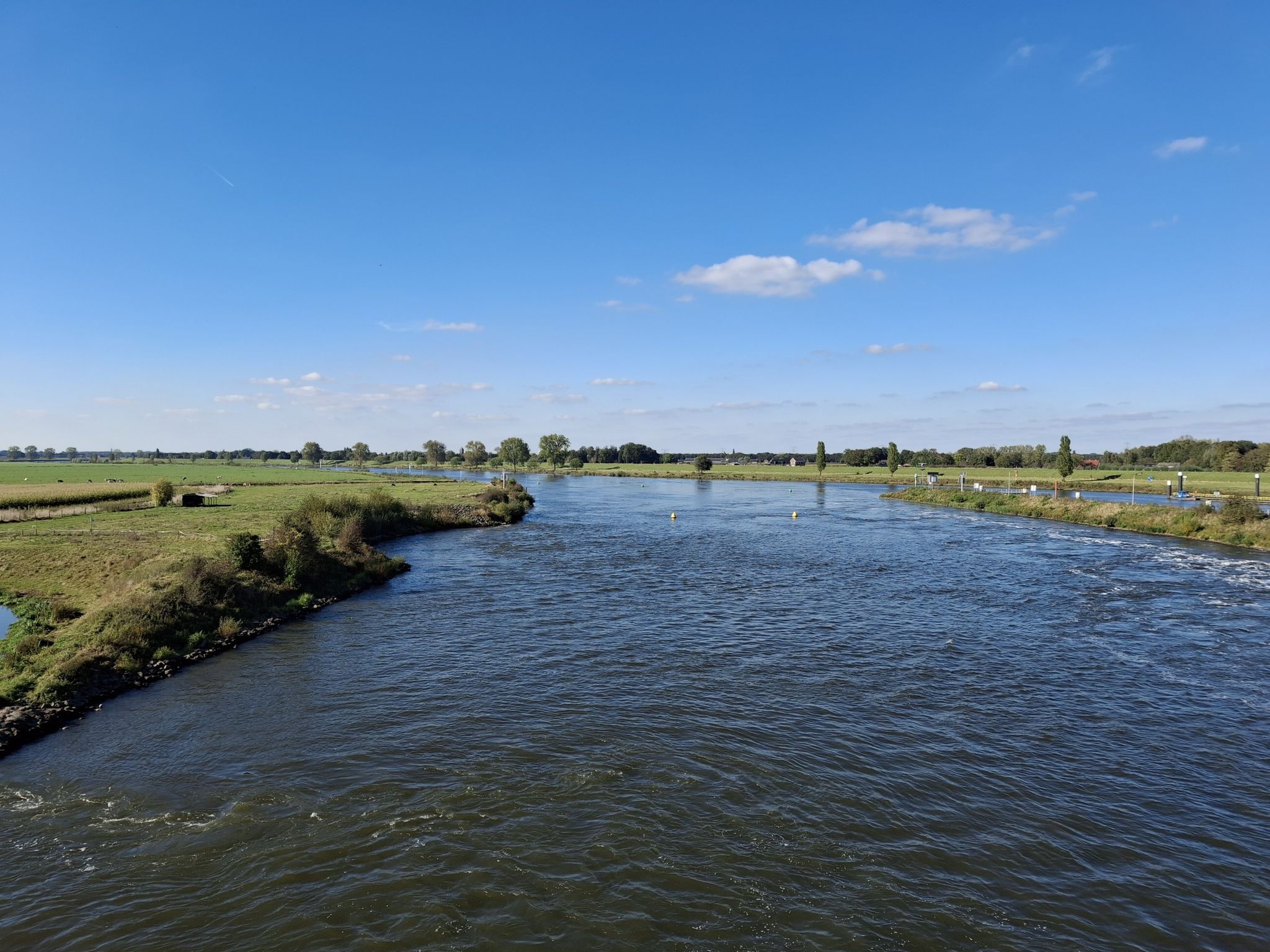 de Maas