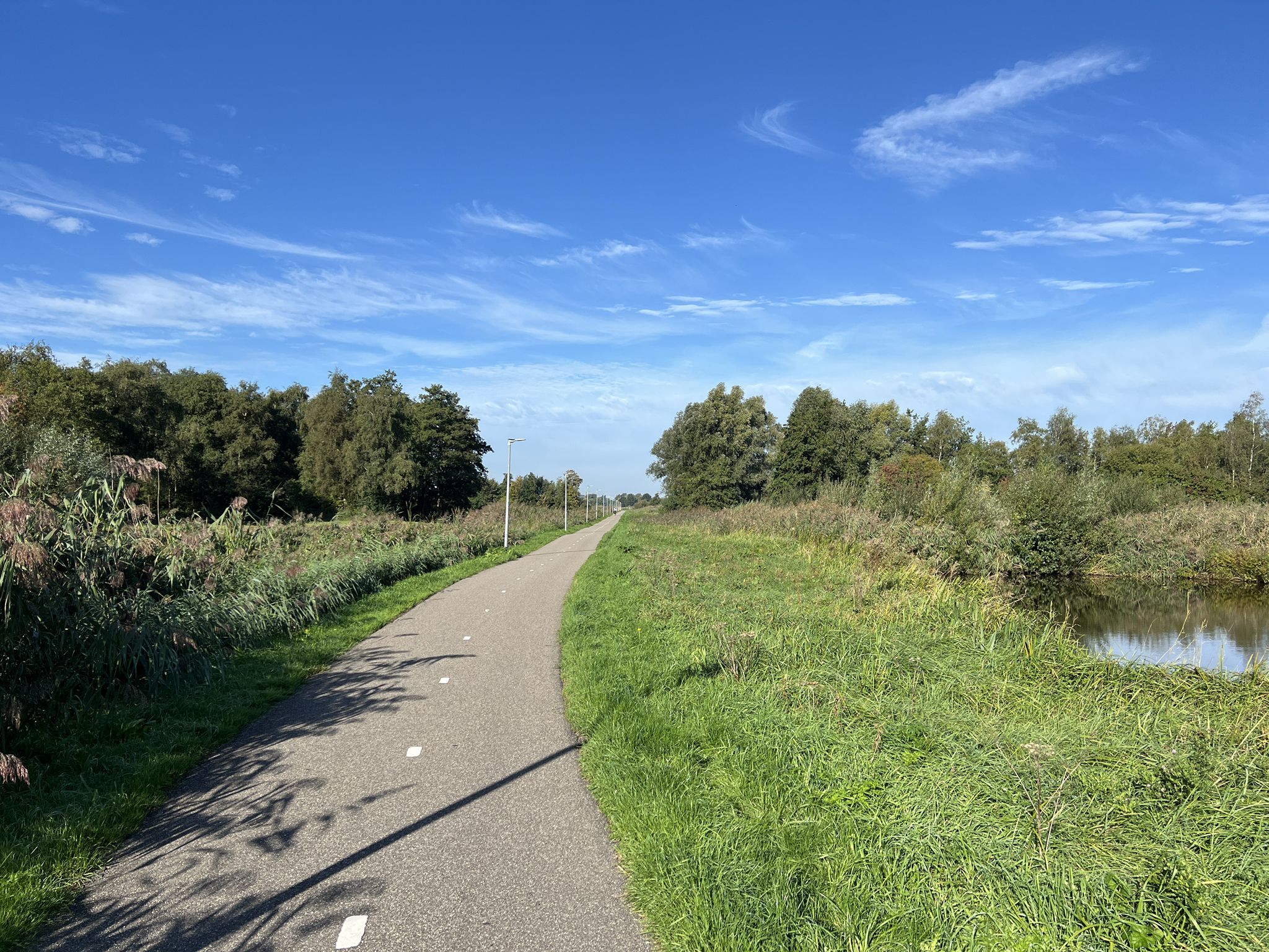 hinein in die Polderlandschaft auf einem schönen Fahrradweg