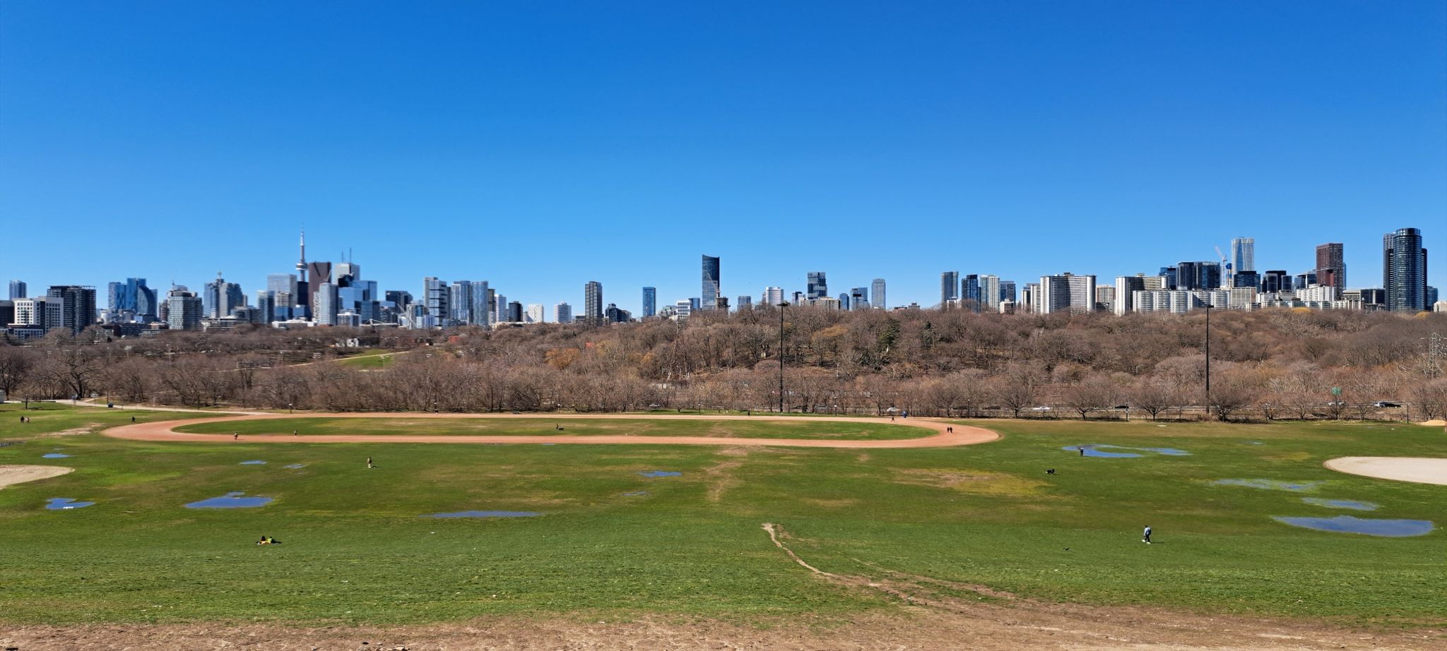 Wild and Wide in Toronto