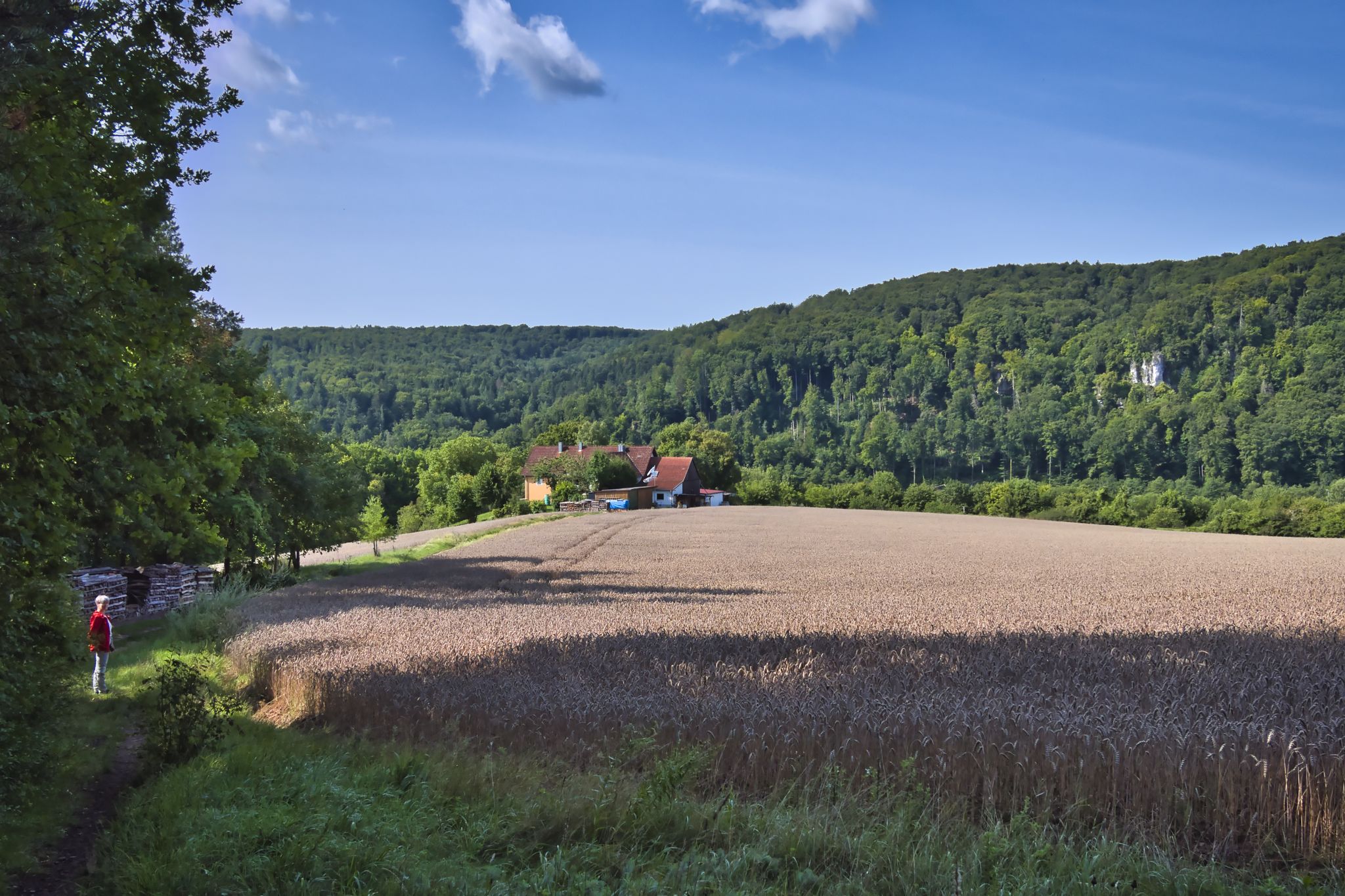 Abstieg ins Naabtal mit Blick auf die westlichen Naabtalhänge bei Pielenhofen