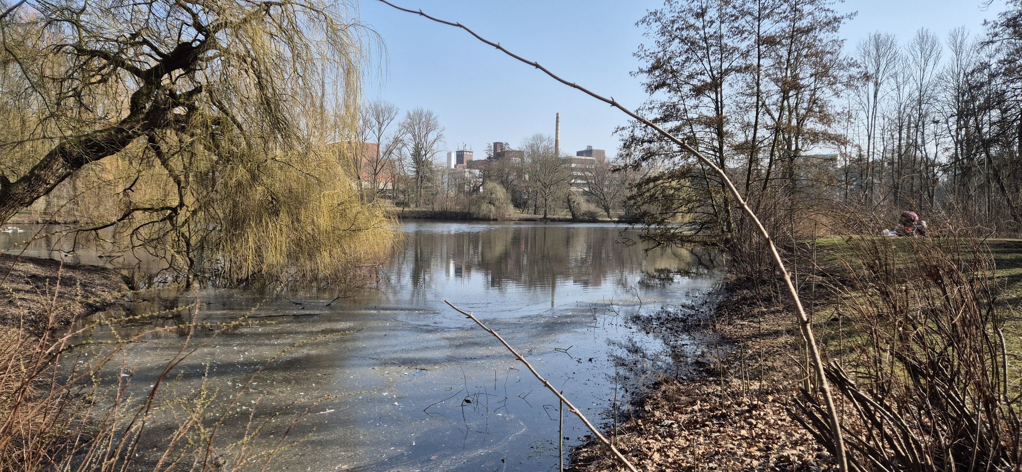 Südteich
