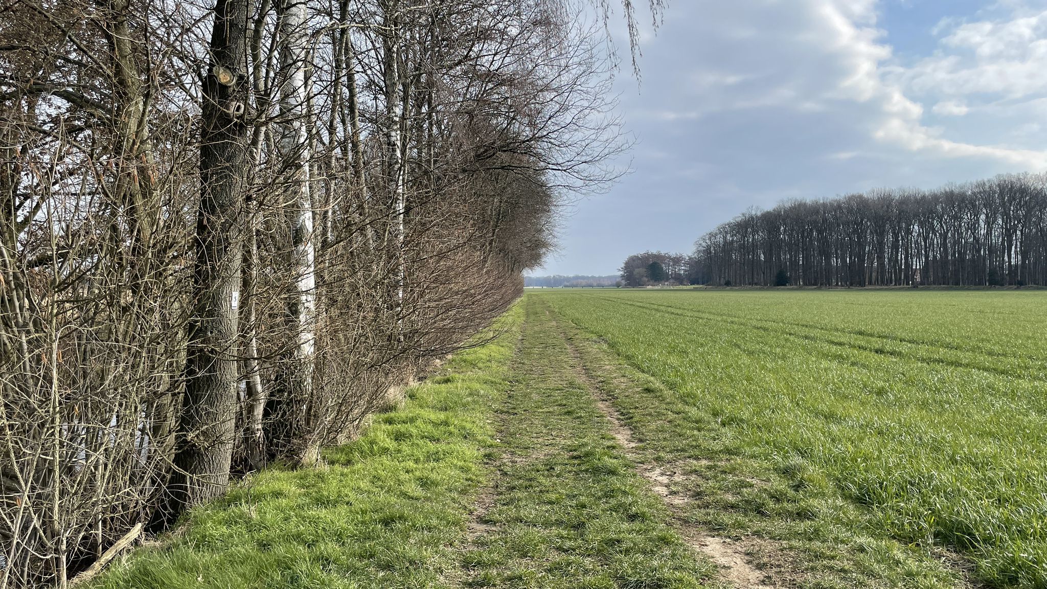Wanderweg entlang der Hesssel