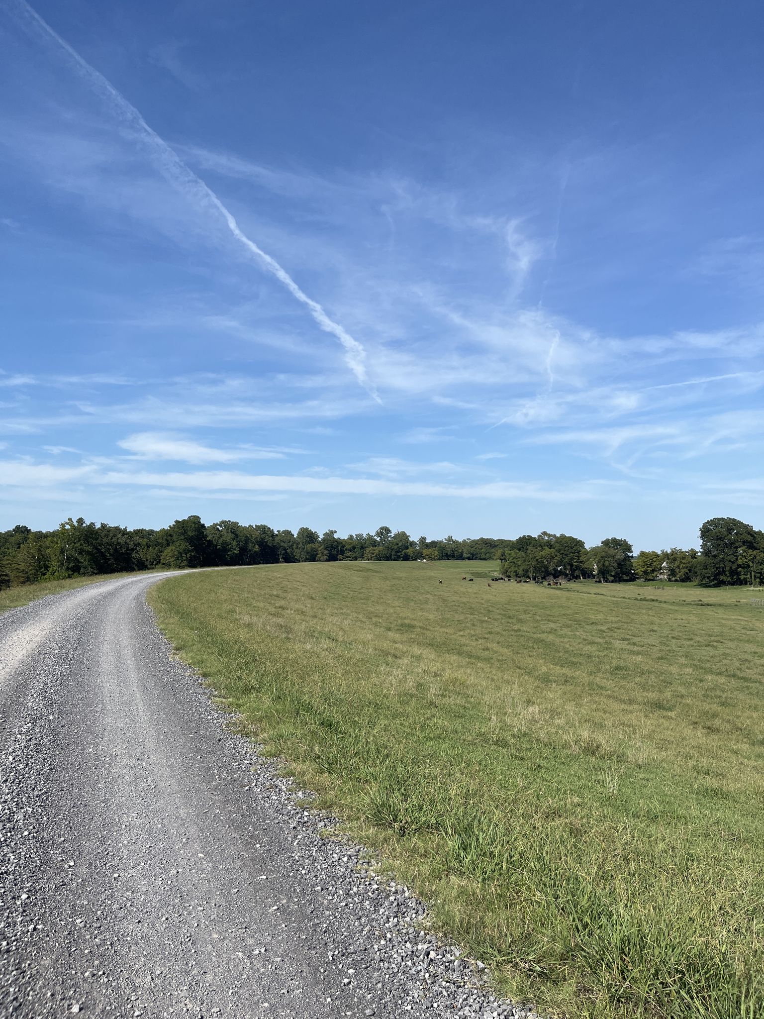 A winding gravel road next to a green field under a bright blue sky. - Tunica loop via Great River Road Bike Trail