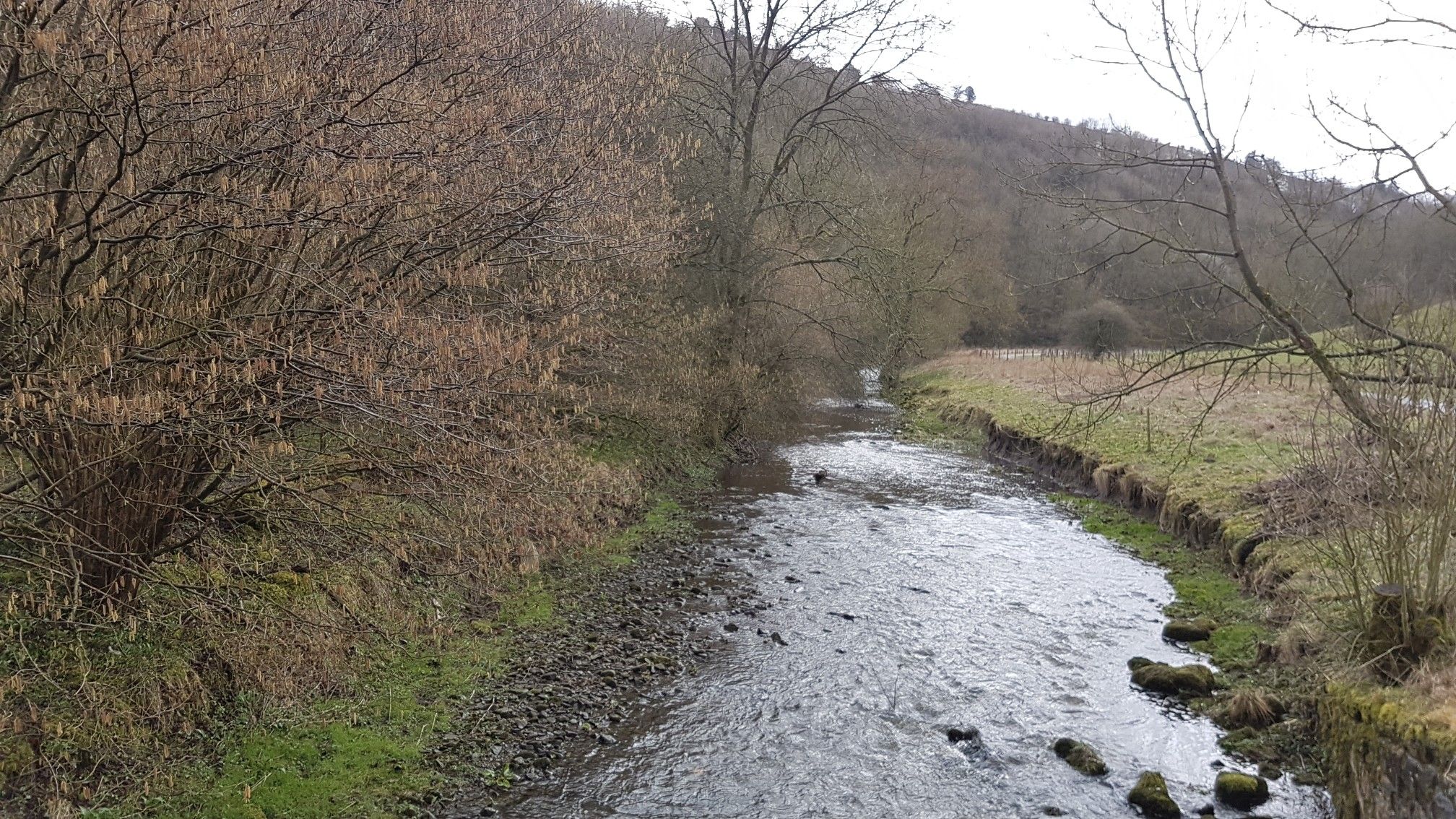 The Manifold River