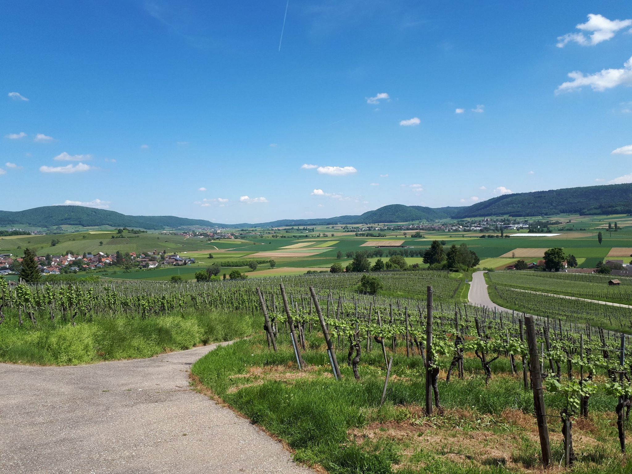 Klettgau