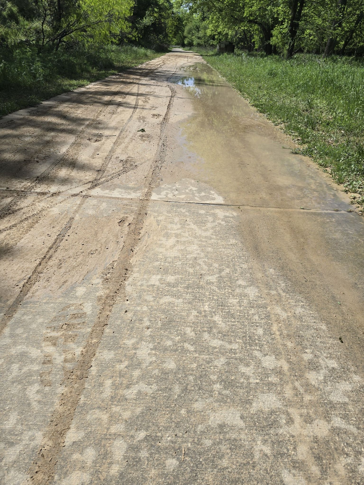 A muddy concrete path with tire tracks, bordered by green grass and trees. - Leon Creek Greenway Trail