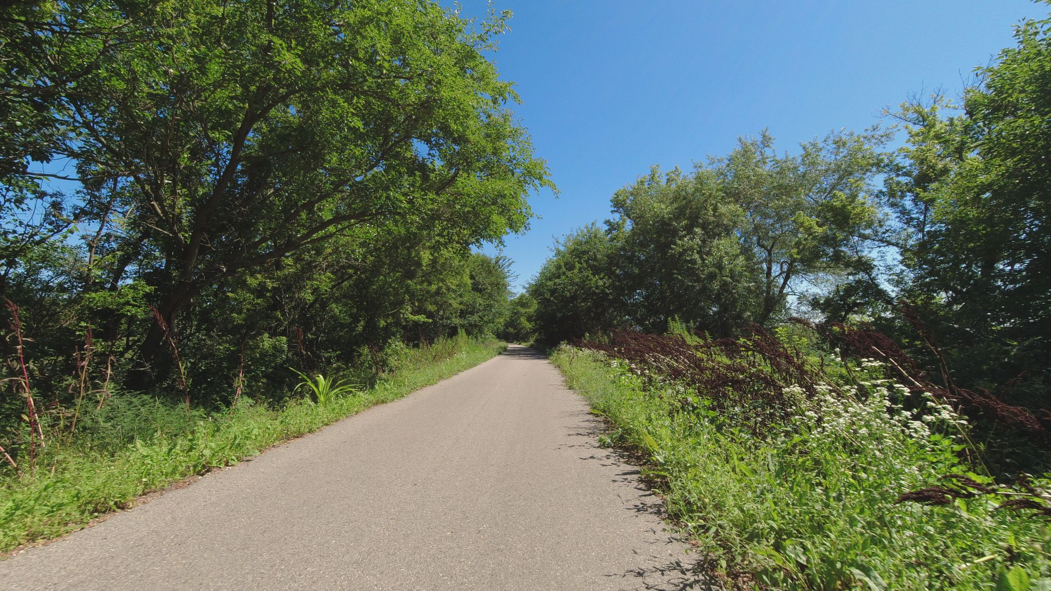 A paved path through green trees and wildflowers under a clear blue sky. - Old Depot Building – The Great Sauk Trail loop from Sauk City