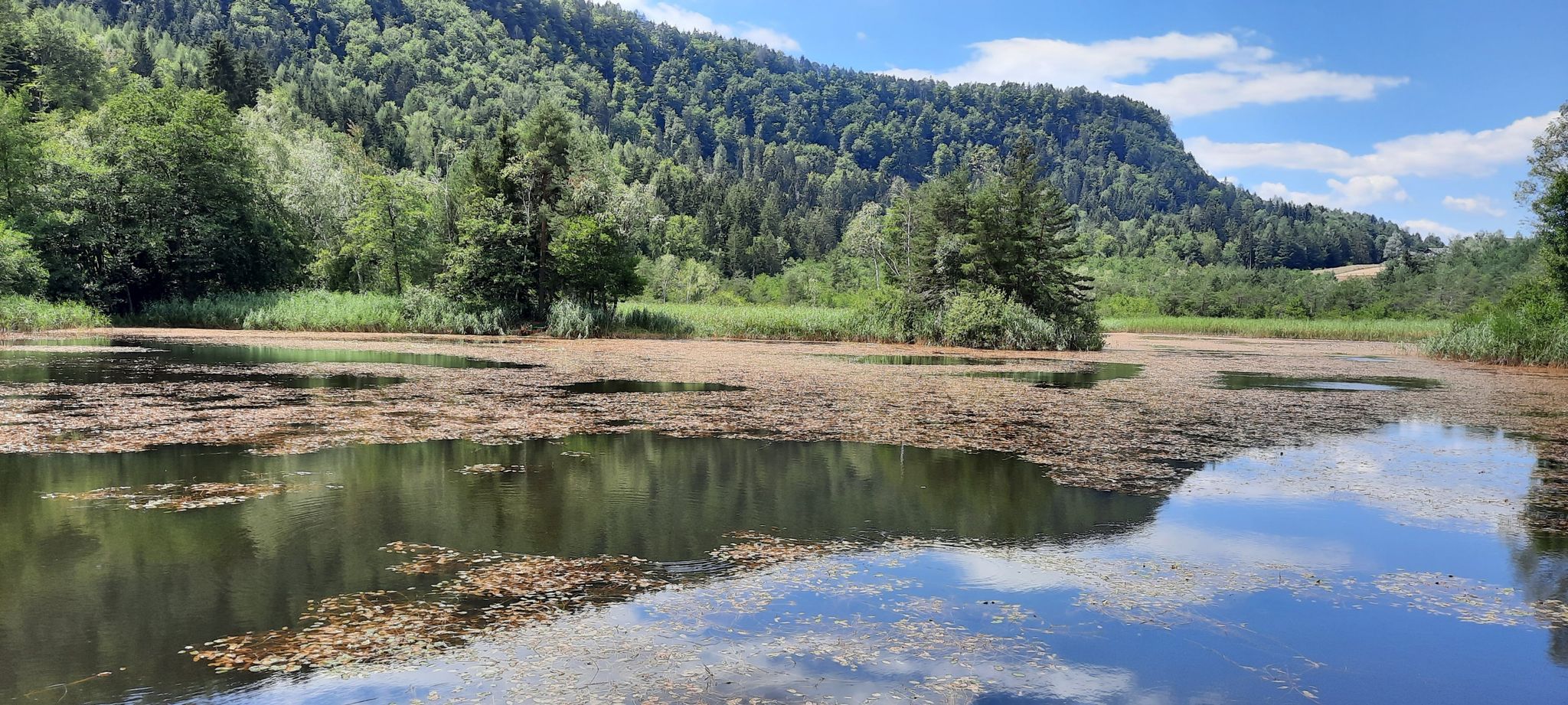 Penkensee