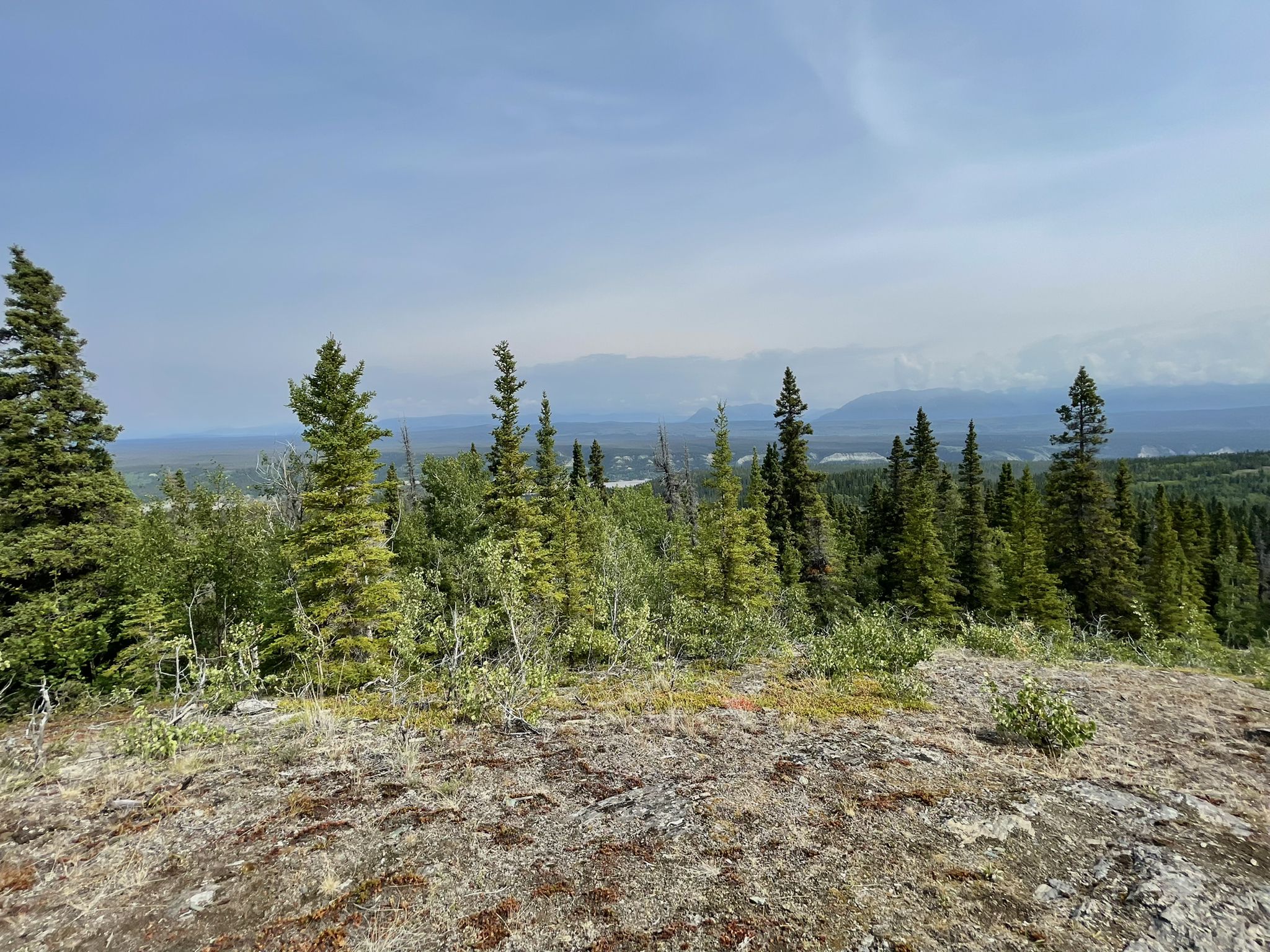 Evergreen forest on a hill, with hazy distant mountains under a clear sky. - Liberty Falls Trail