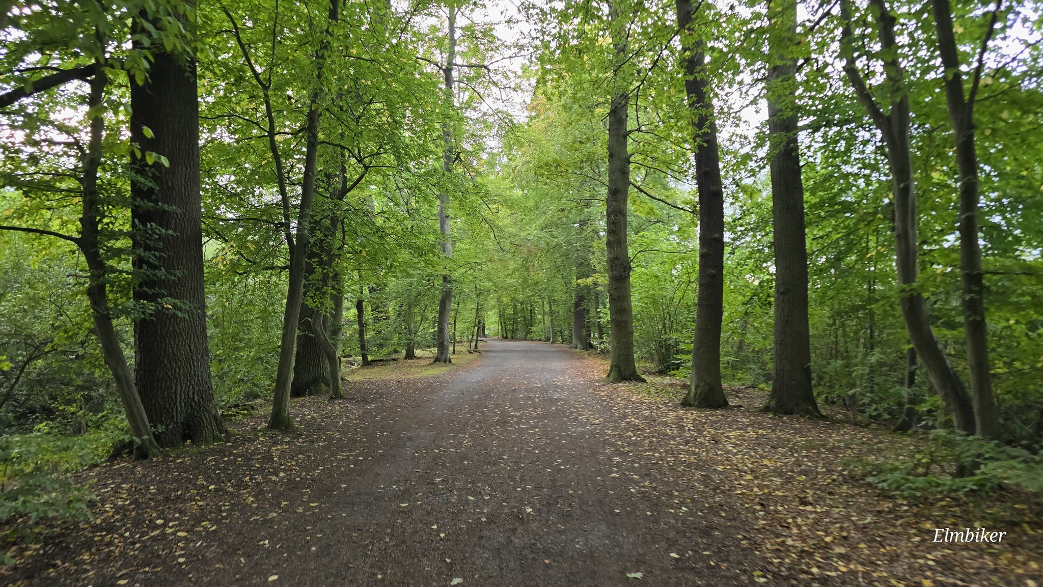 An den Kreuzteichen