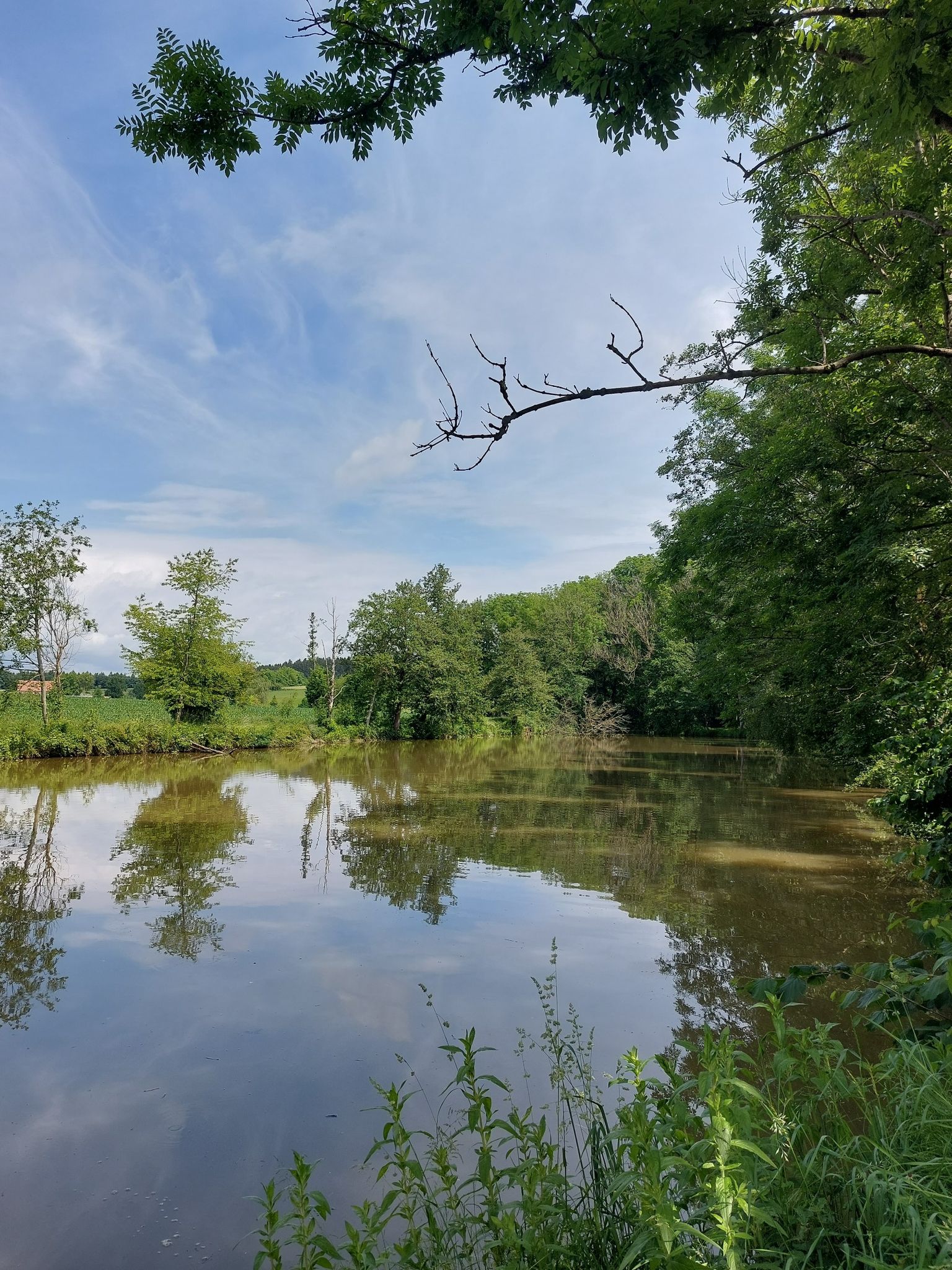 Freidlinger Weiher