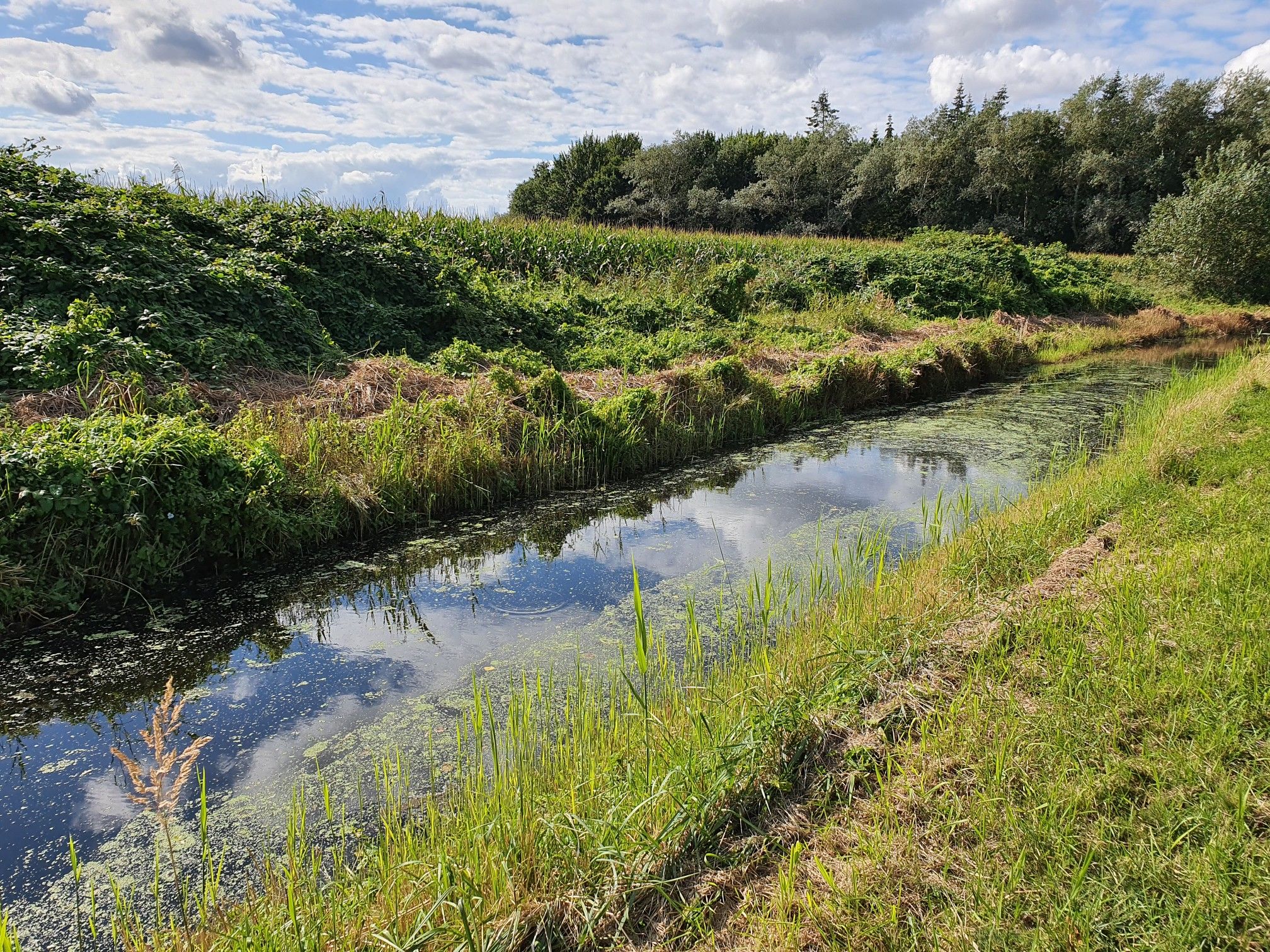 wanderweg