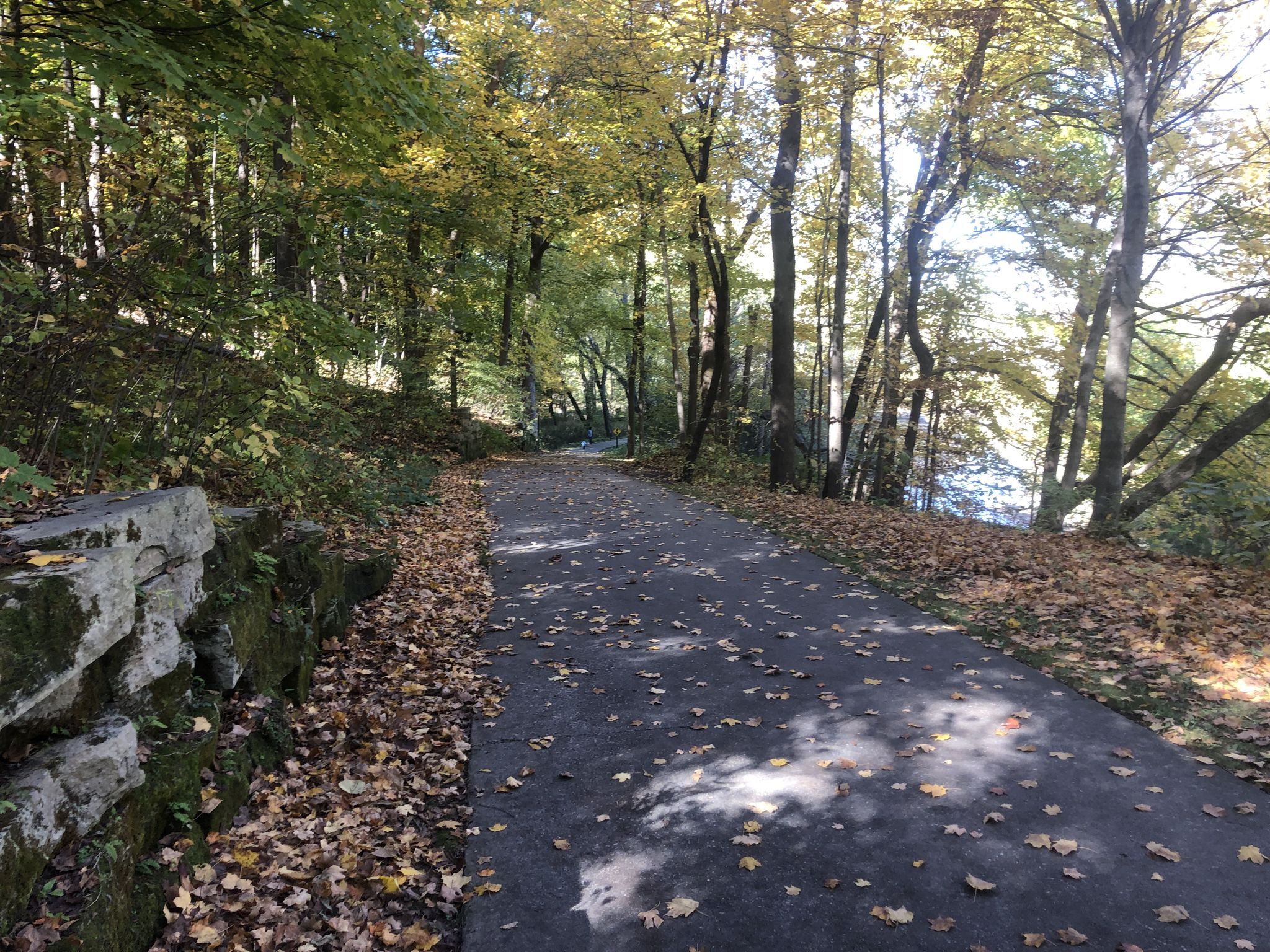 Paved path through a sunlit autumn forest with fallen yellow leaves and water. - Tom Harkin Trailhead loop from The University of Iowa
