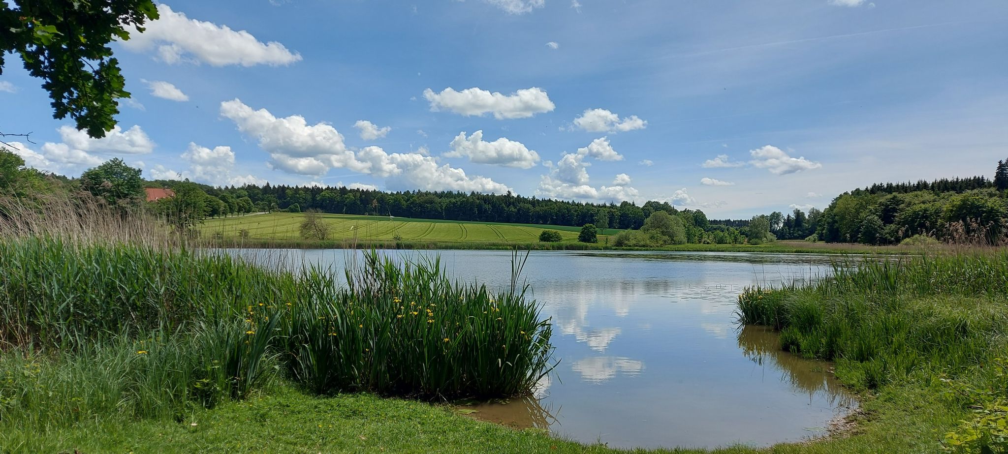 Gutershofer Weiher