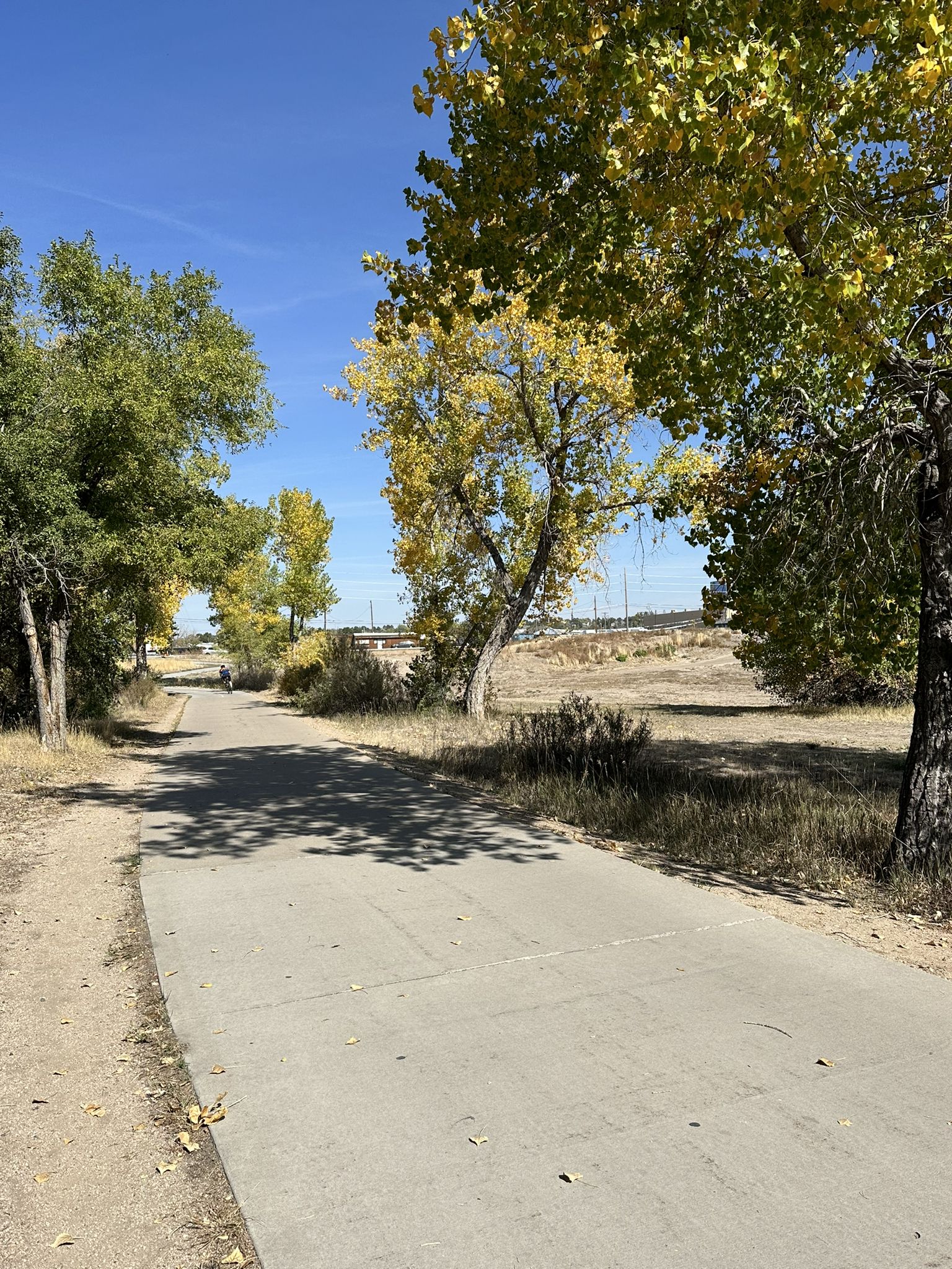A paved path winds through trees with autumn leaves under a blue sky. - Four Mile Historic Park – Cherry Creek Trail North loop from Glendale