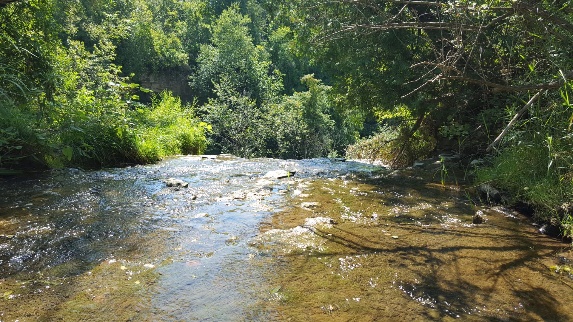 Crest of Borer's Falls