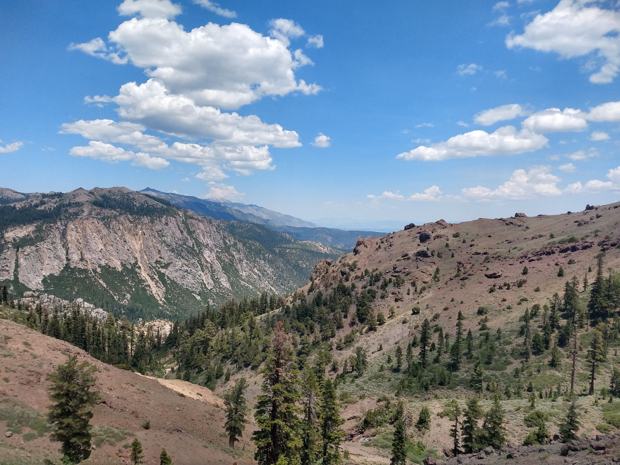 Sunny mountain valley with steep rocky slopes and scattered pine trees. - Raymond Lake via Wet Meadows Trailhead