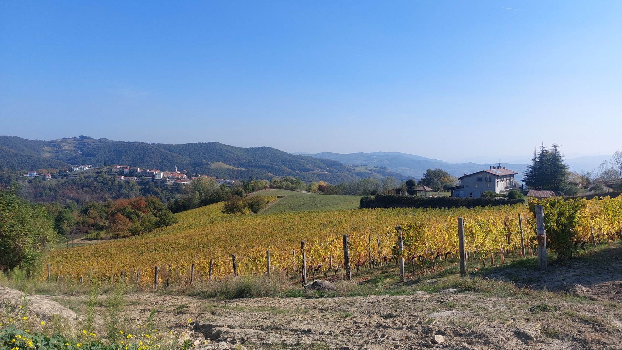 tra boschi e vigne val Bormida